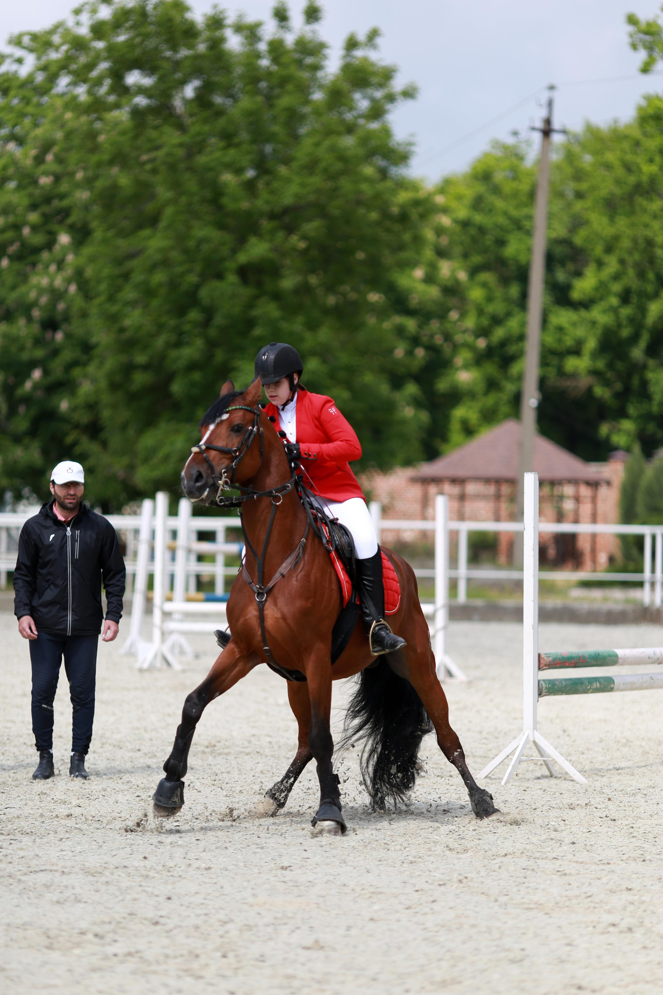 Конноспортивные соревнования. Фотограф Юлия Гросс