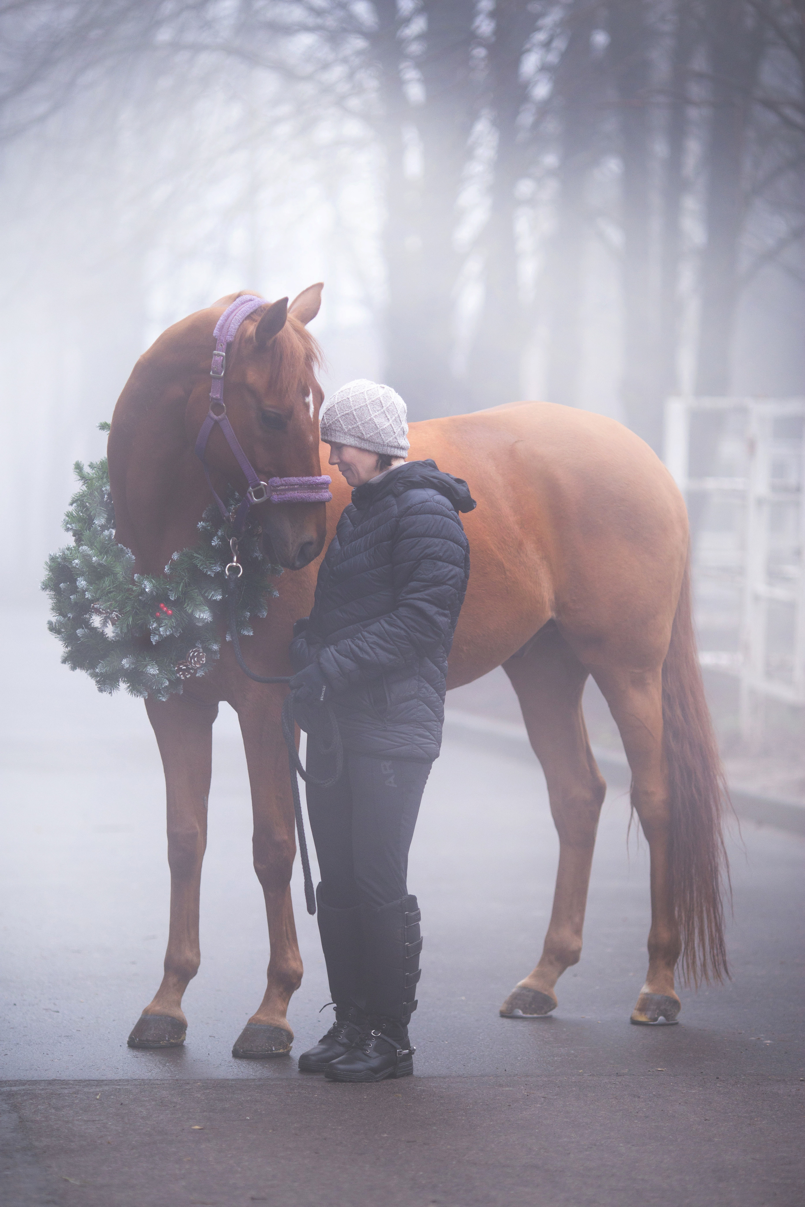 Новогоднее. Фотограф Юлия Гросс