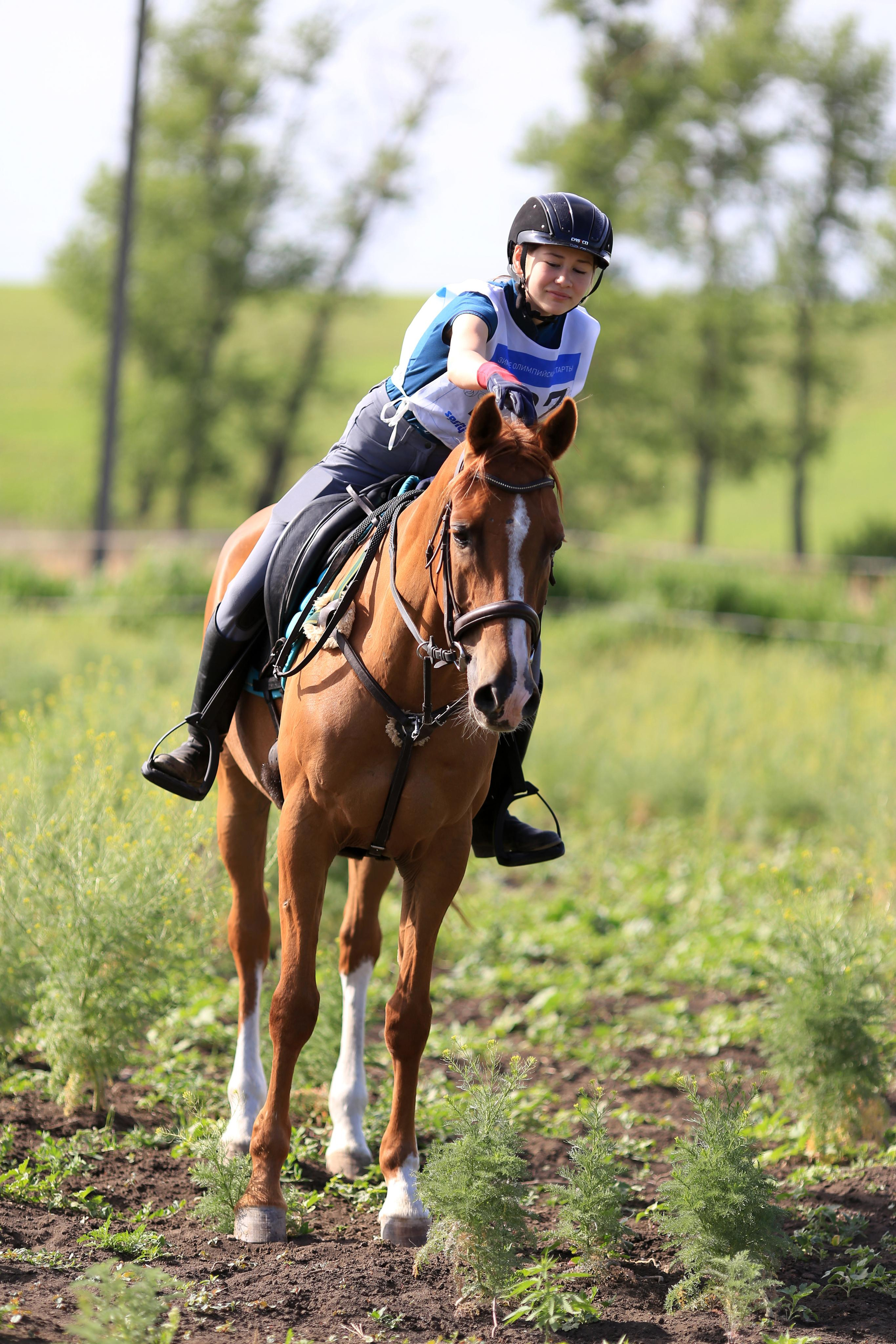 Конноспортивные соревнования. Фотограф Юлия Гросс
