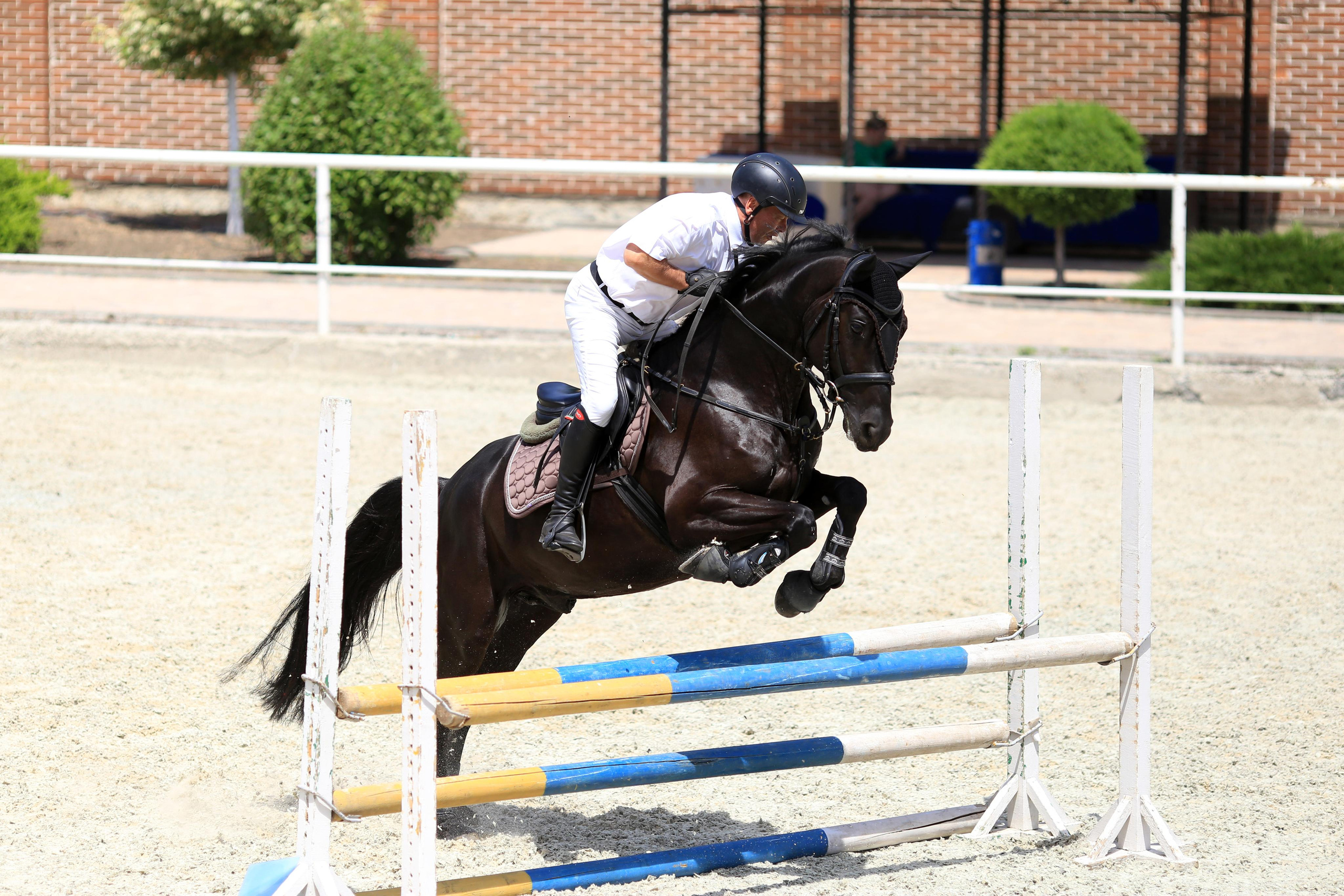 Конноспортивные соревнования. Фотограф Юлия Гросс