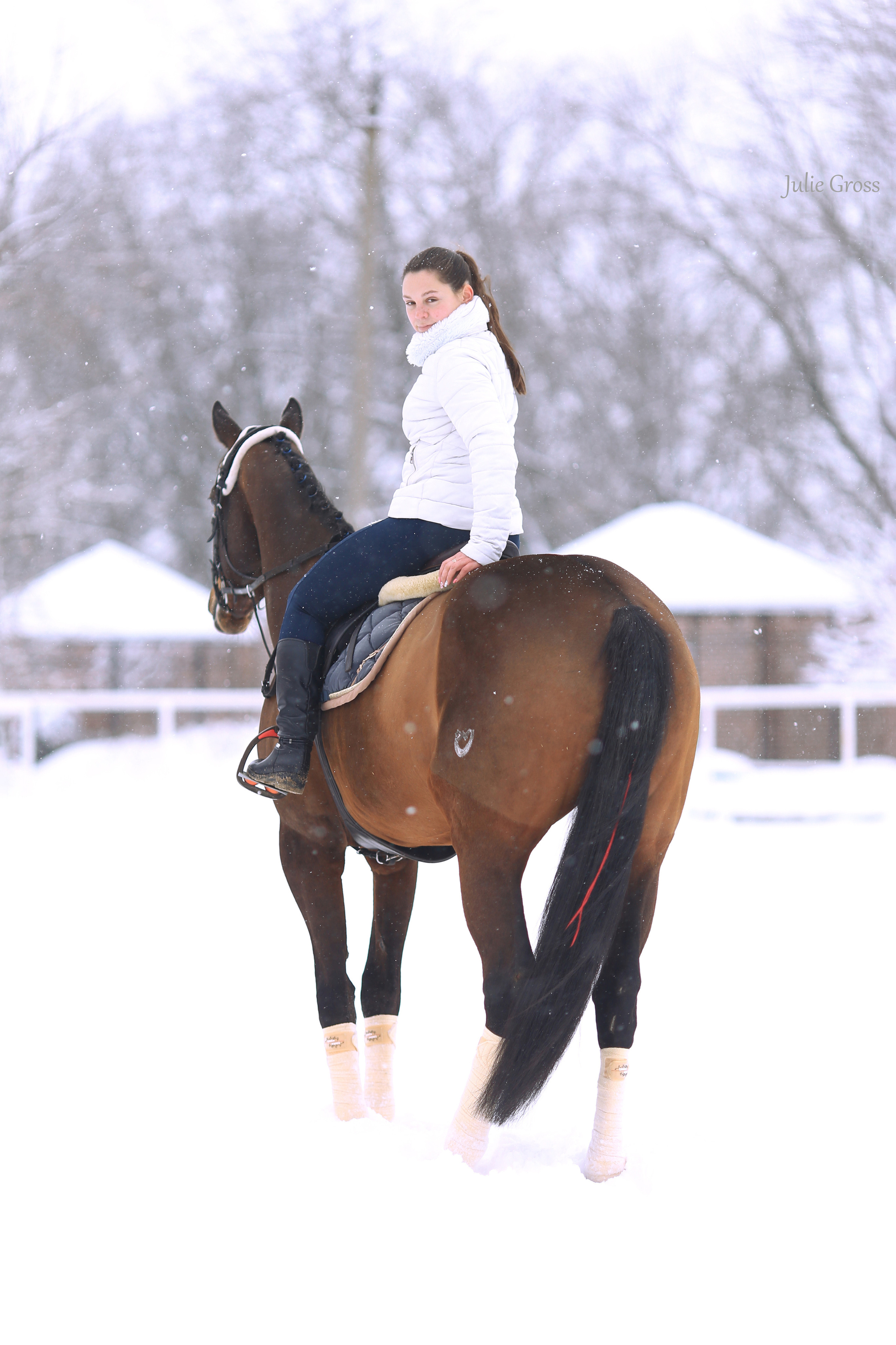 Новогоднее. Фотограф Юлия Гросс