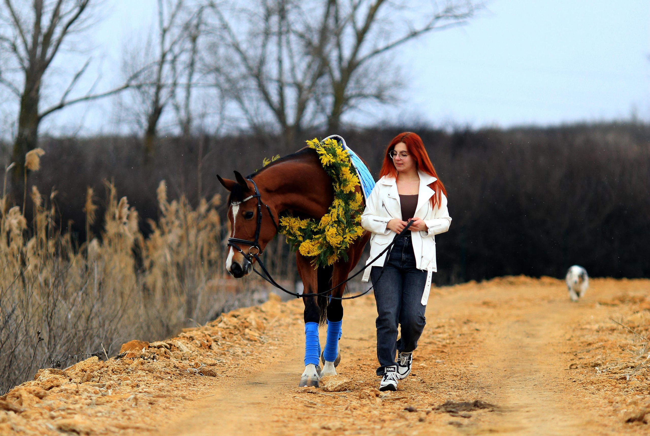 Мимоза. Фотограф Юлия Гросс