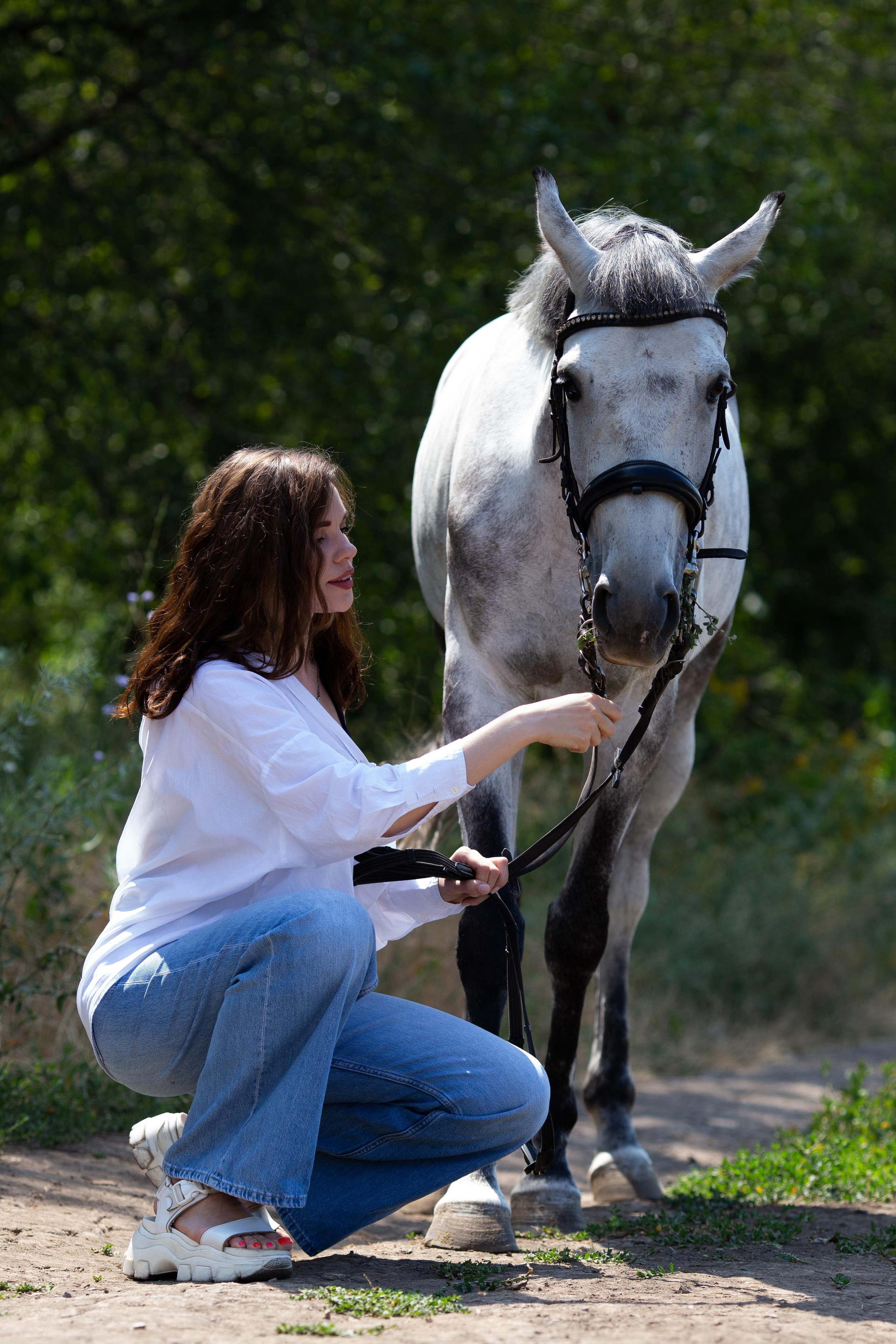 фотосессия с лошадью ростов