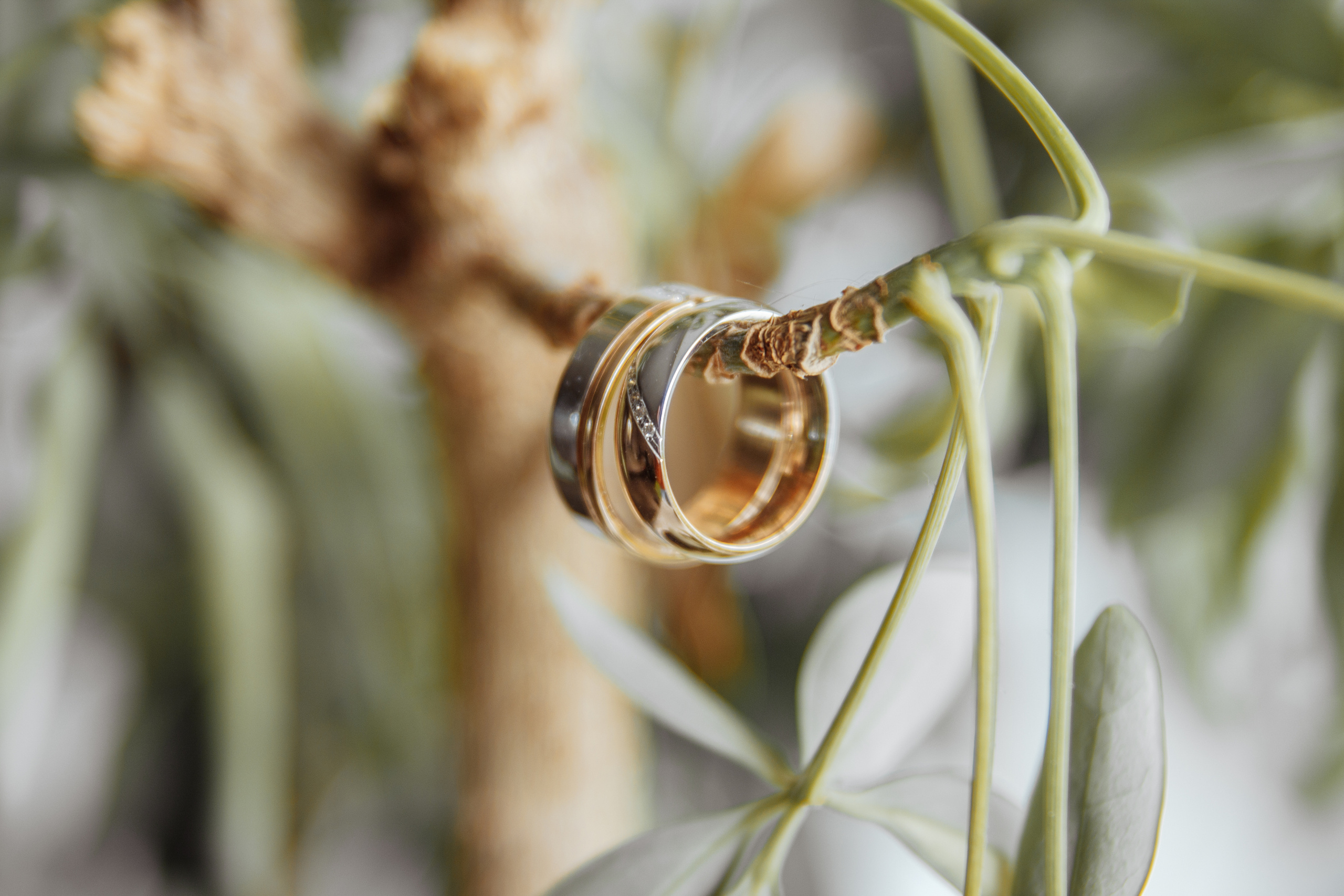 Свадьбы. Свадебный фотограф Арсеньев Екатерина Говорина