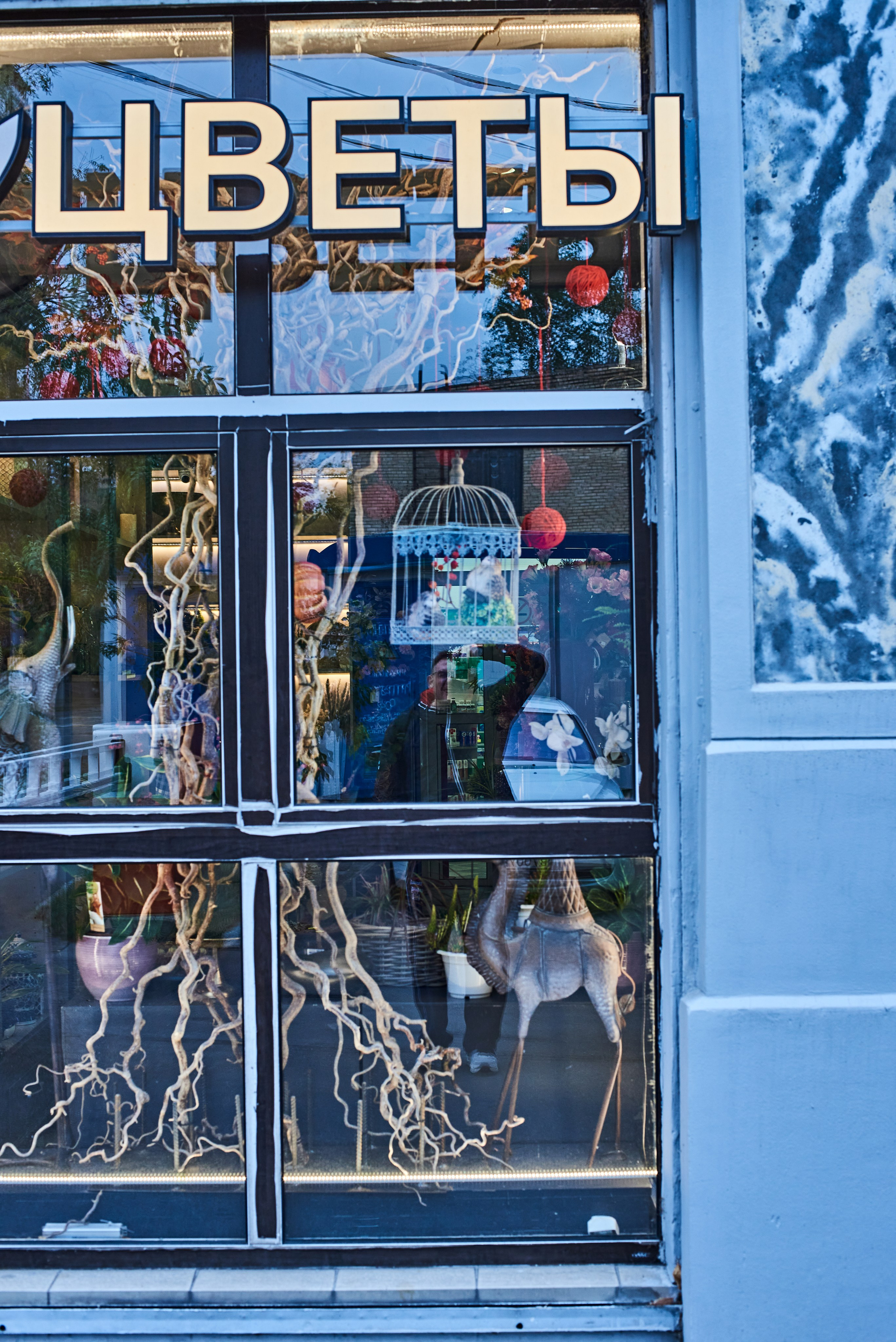 2024. Марфин. Фотограф