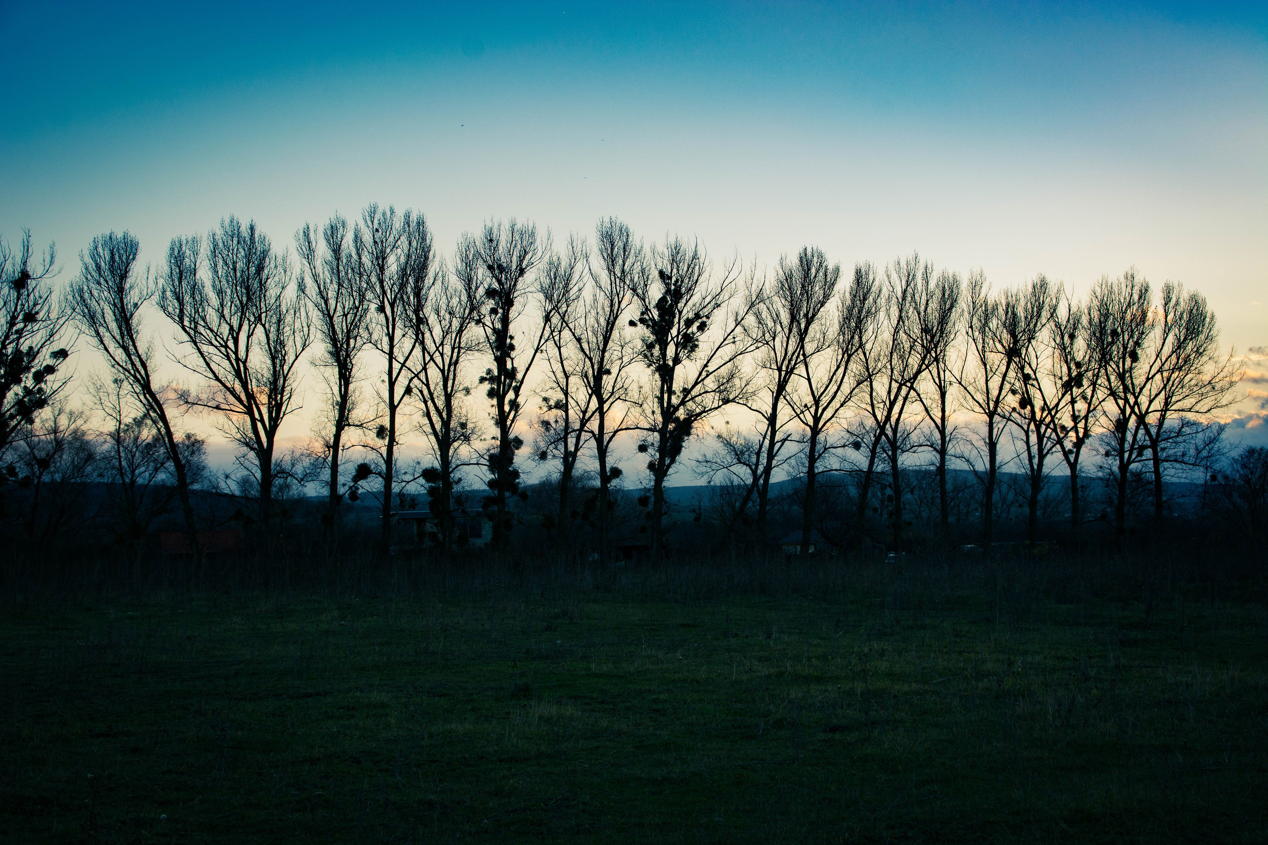 Природа в фотографии, взгляд на прекрасное через объектив фотоаппарата. Елена Волкова семейный фотограф в станице Гостагаевской города-курорта Анапа