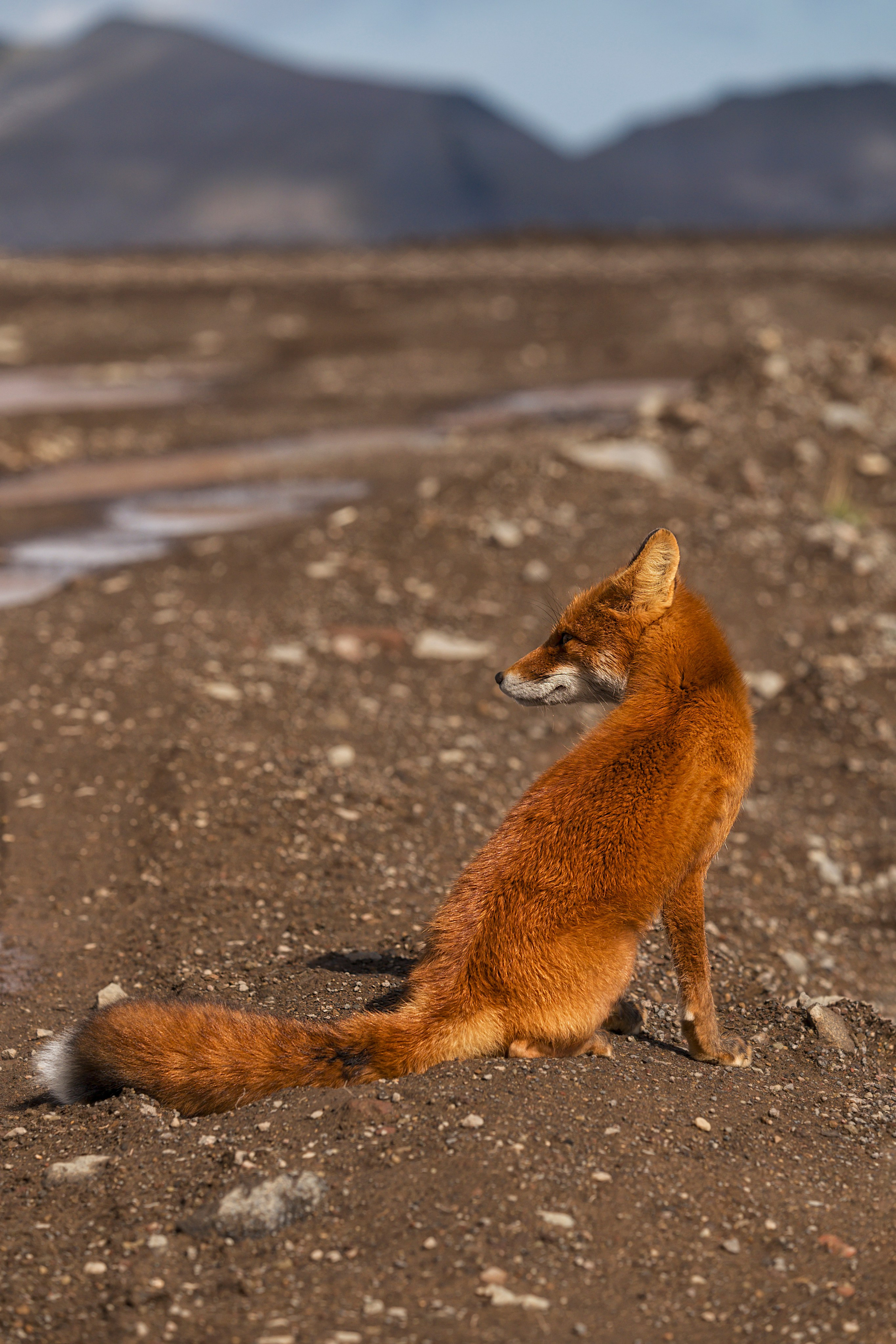 Камчатка. Портретный фотограф в Челябинске Катерина Руди