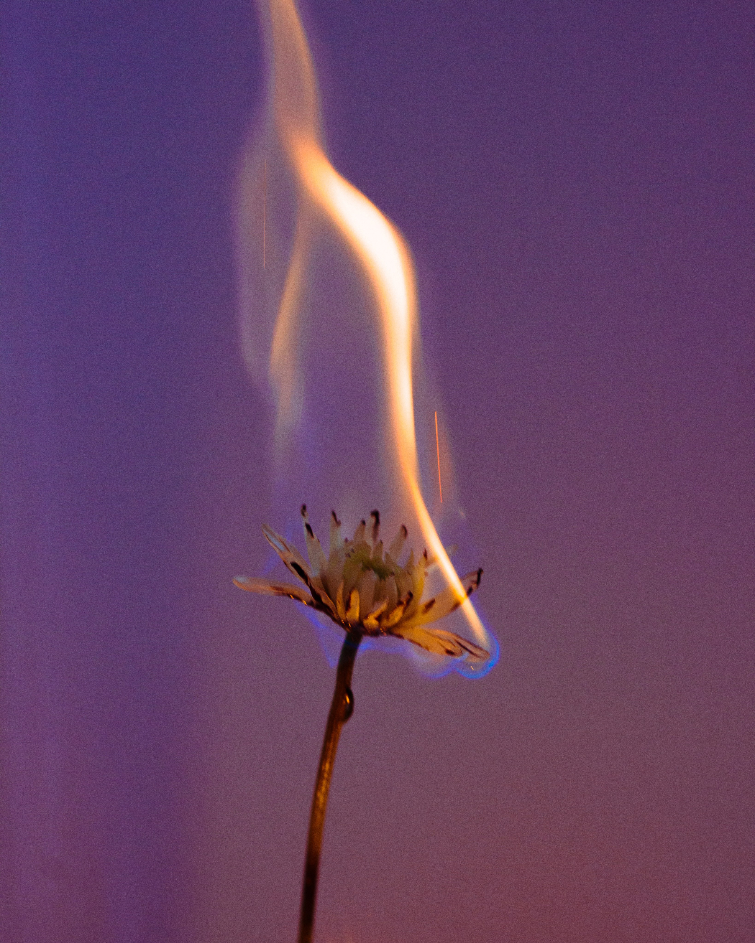 ART. Фотограф Анна Апрельская Москва| Moscow Anna Aprelskaya Photographer