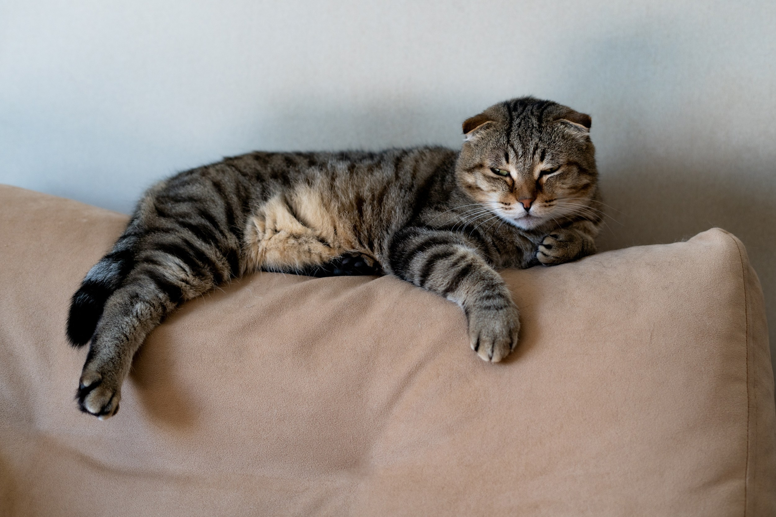 Гостиница. Фотограф Екатерина Зорина