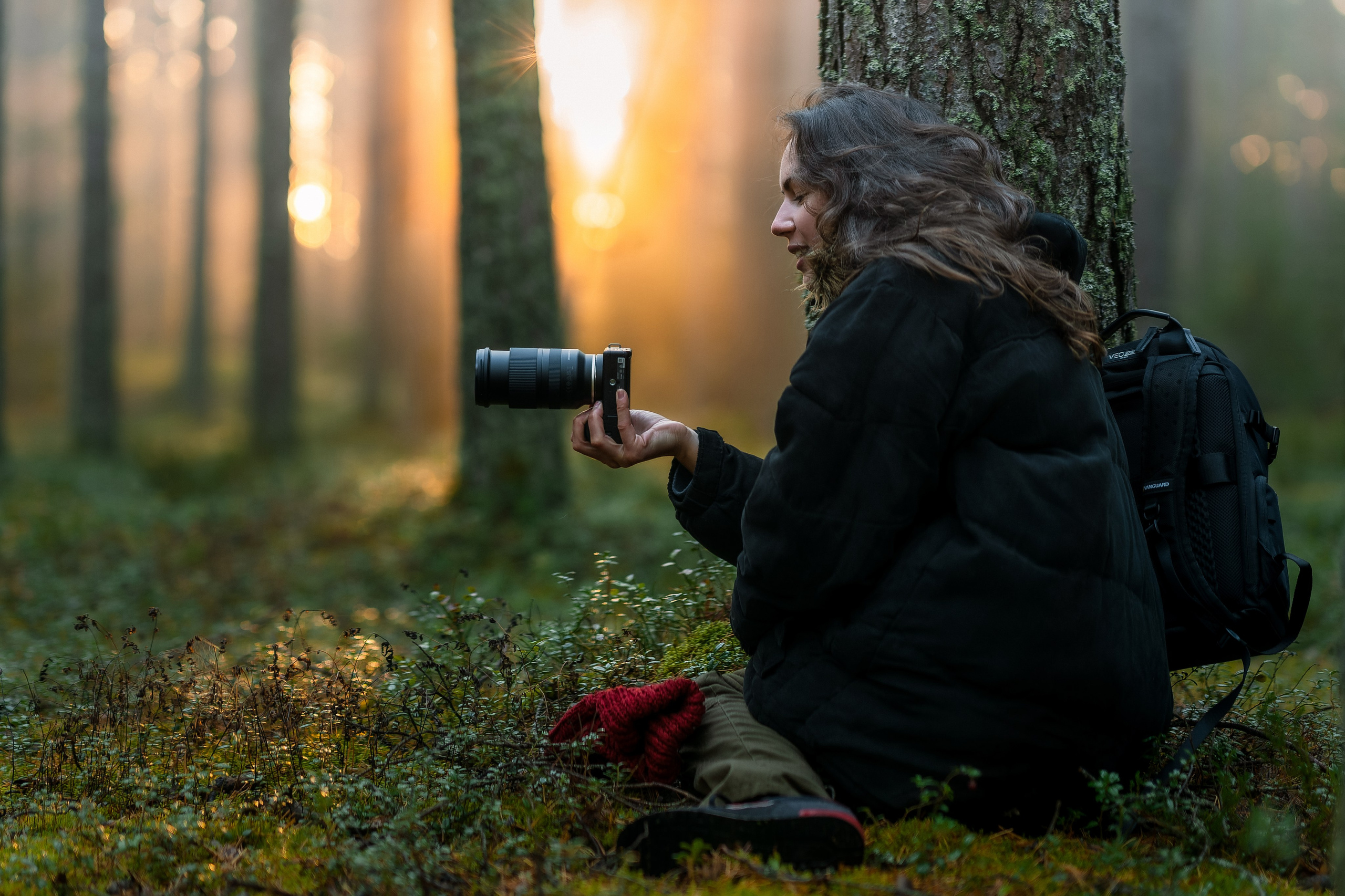 Рассвет в осеннем лесу, Карелия. Юля Дэй • Фотограф, Санкт-Петербург