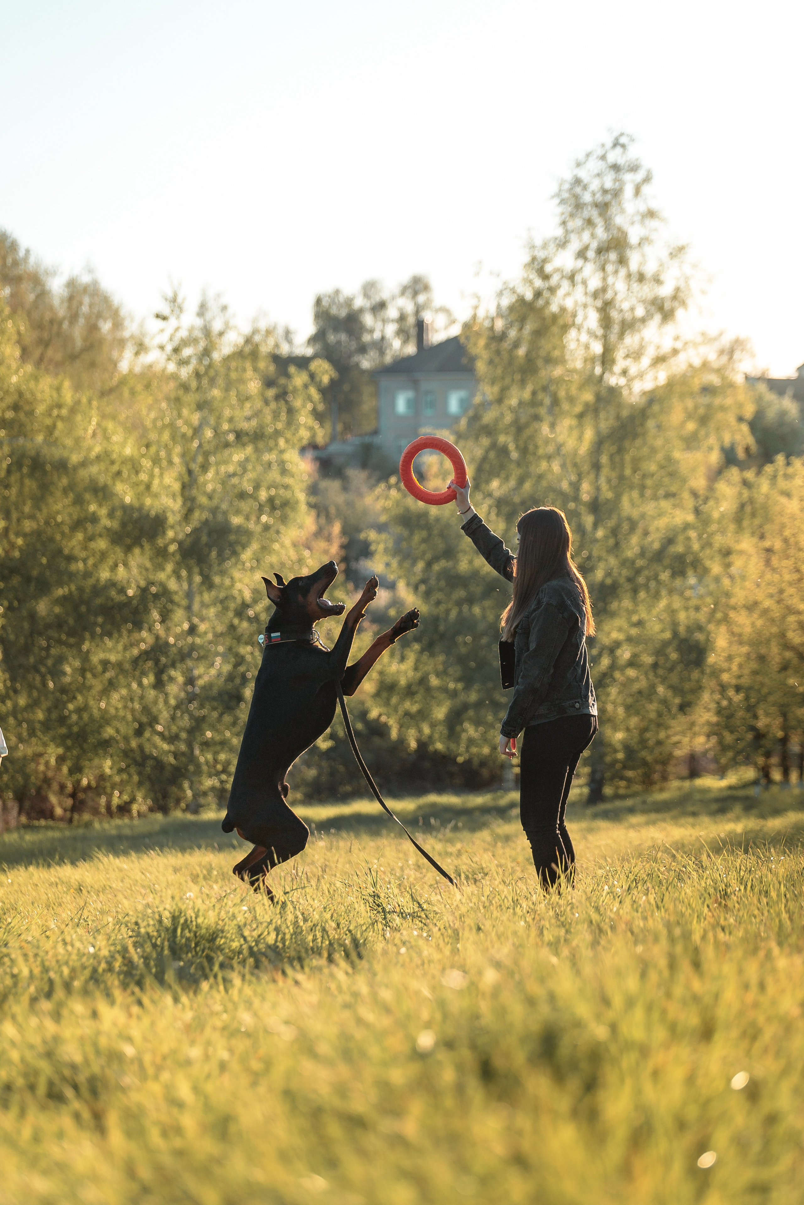Юля, Андрей и Арес. Фотограф-анималист Анастасия Парфенова|Екатеринбург