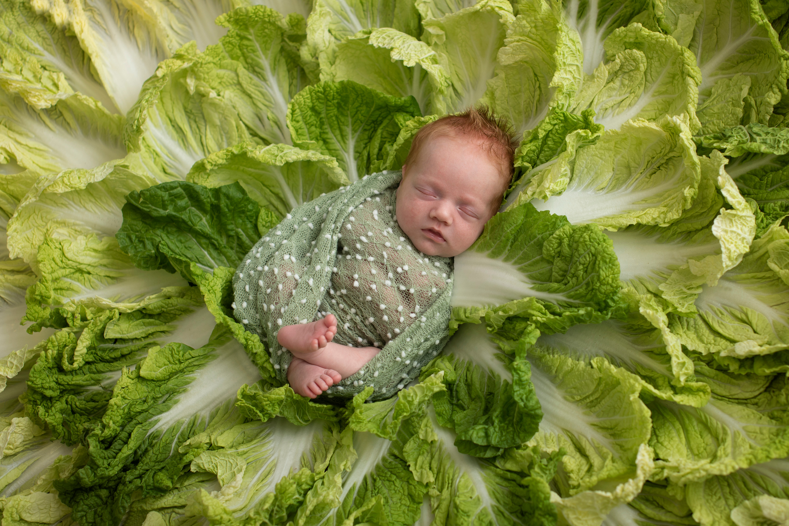 Эксклюзивные локции. Фотограф новорожденных и детский фотограф Старый Оскол