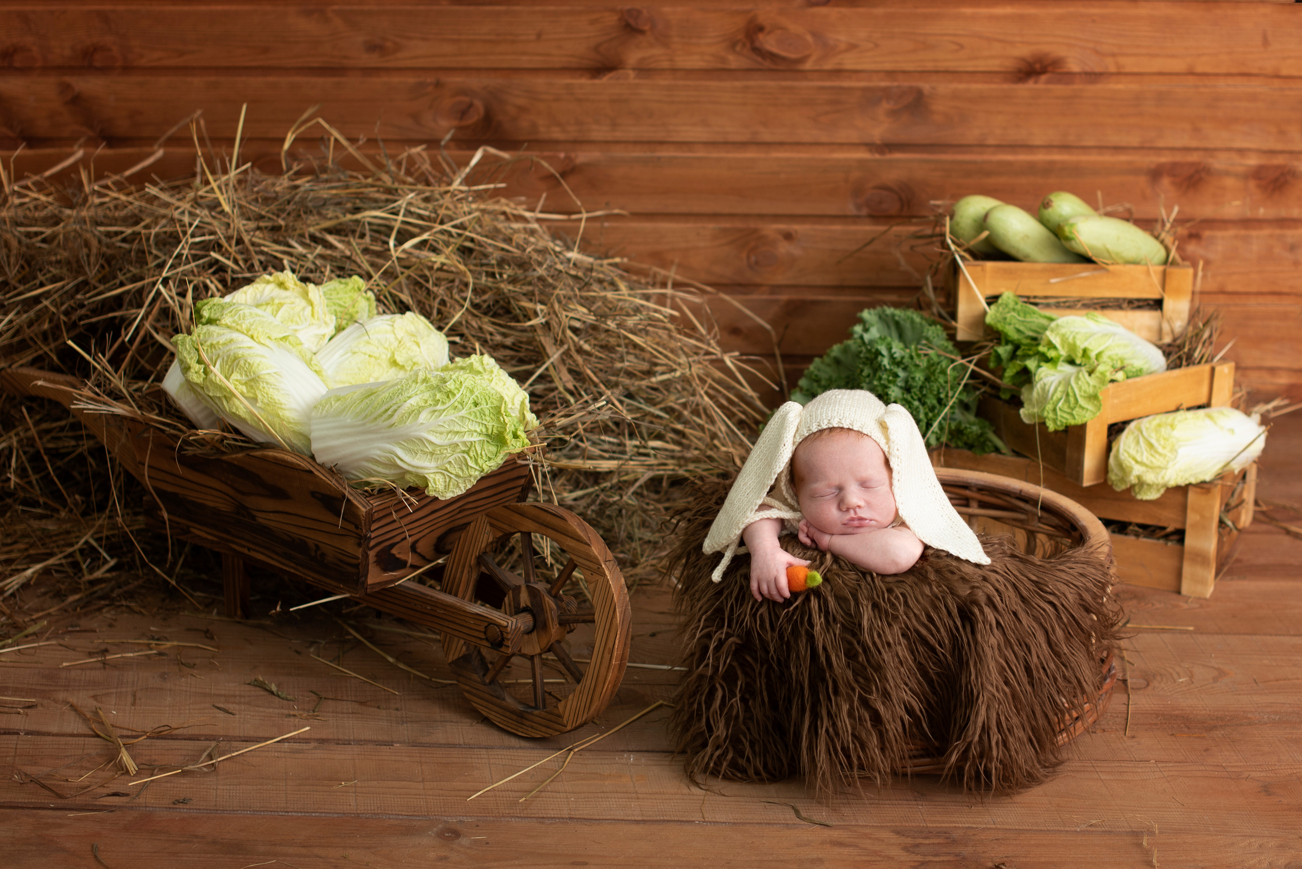 Эксклюзивные локции. Фотограф новорожденных и детский фотограф Старый Оскол