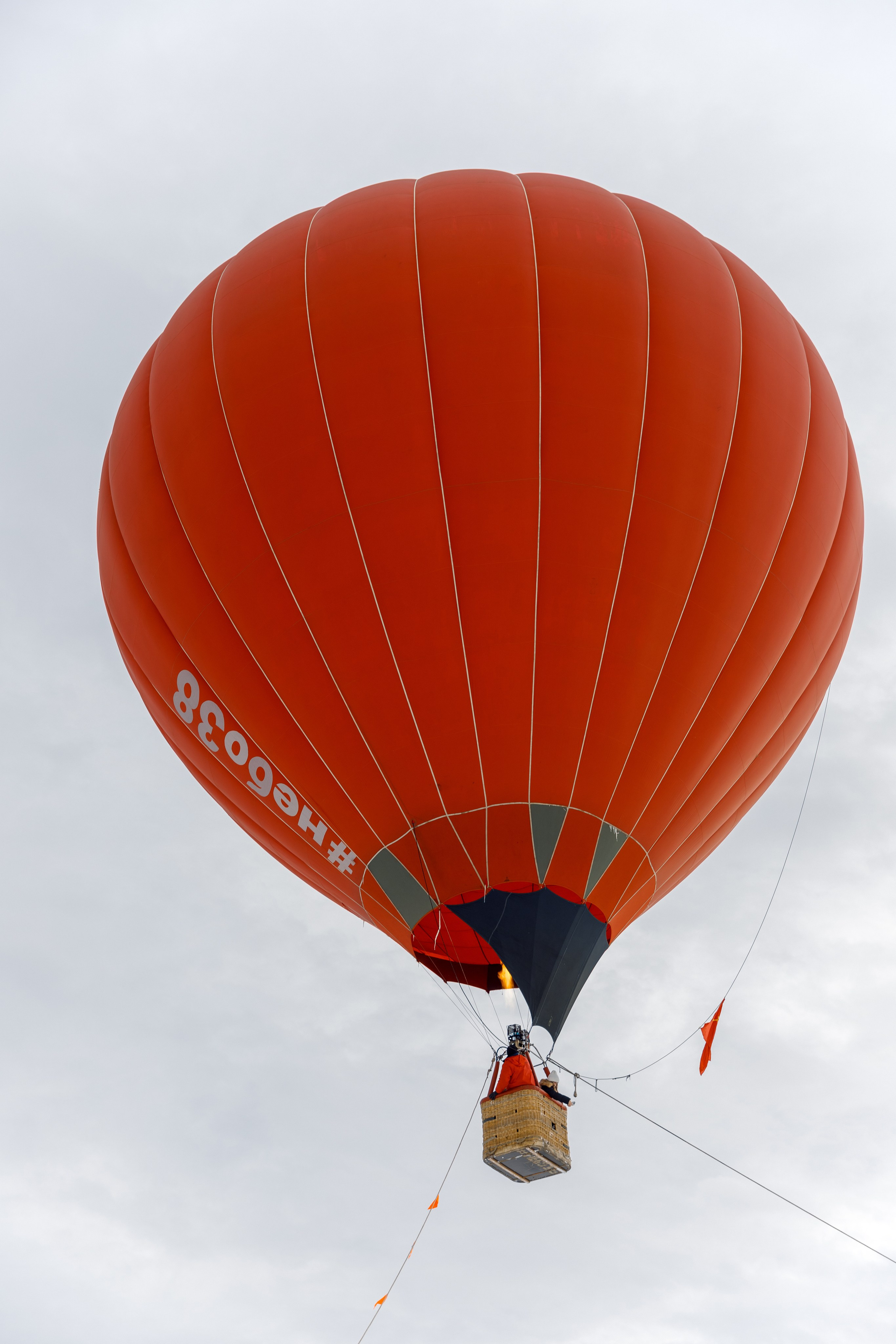 ЯБЛОКИ НА СНЕГУ. Свадебный фотограф Иркутск, репортажный фотограф Иркутск