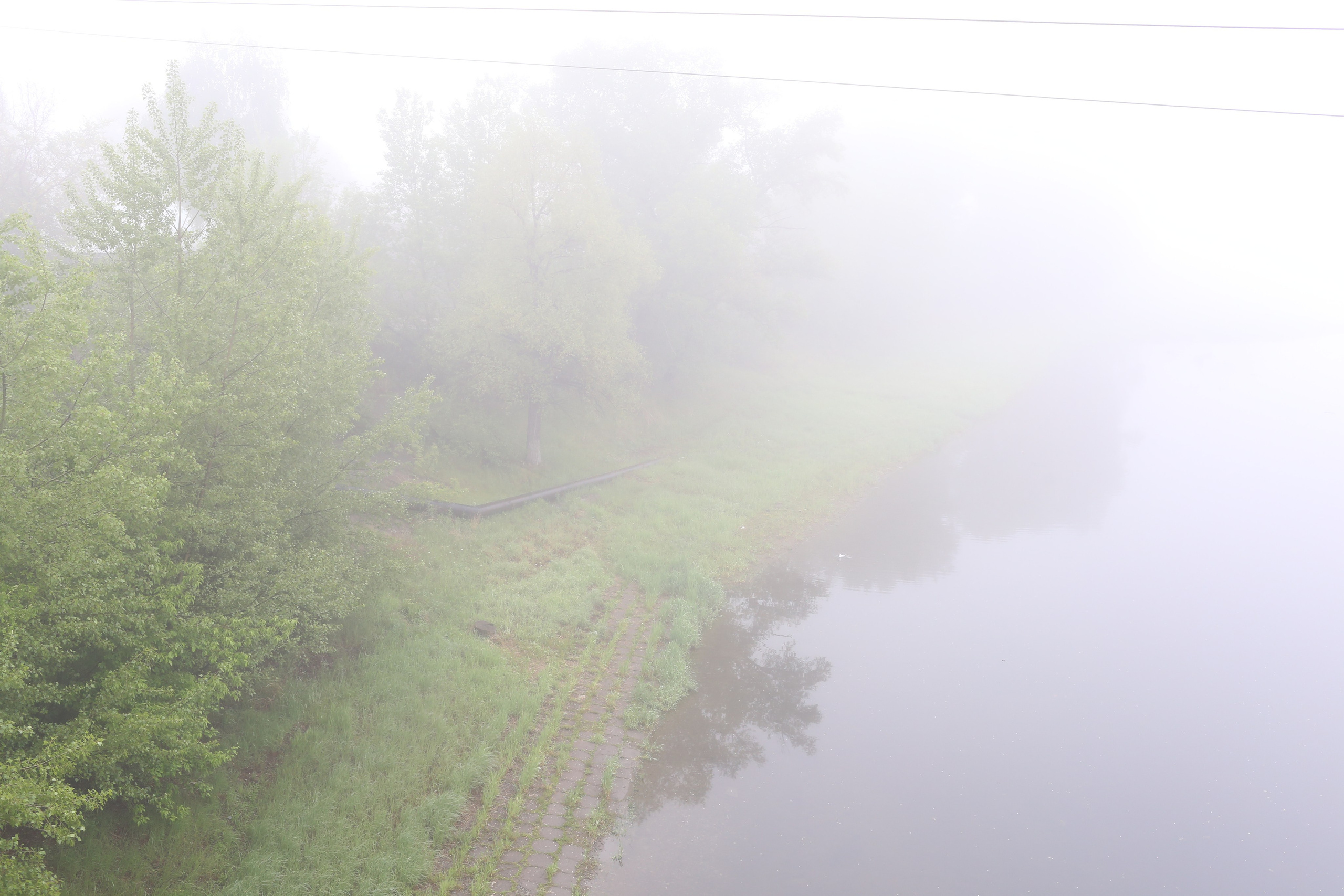 1.06.26 Туман. Предметная фотография. Персональный сайт Сергея Ру. город Минусинск