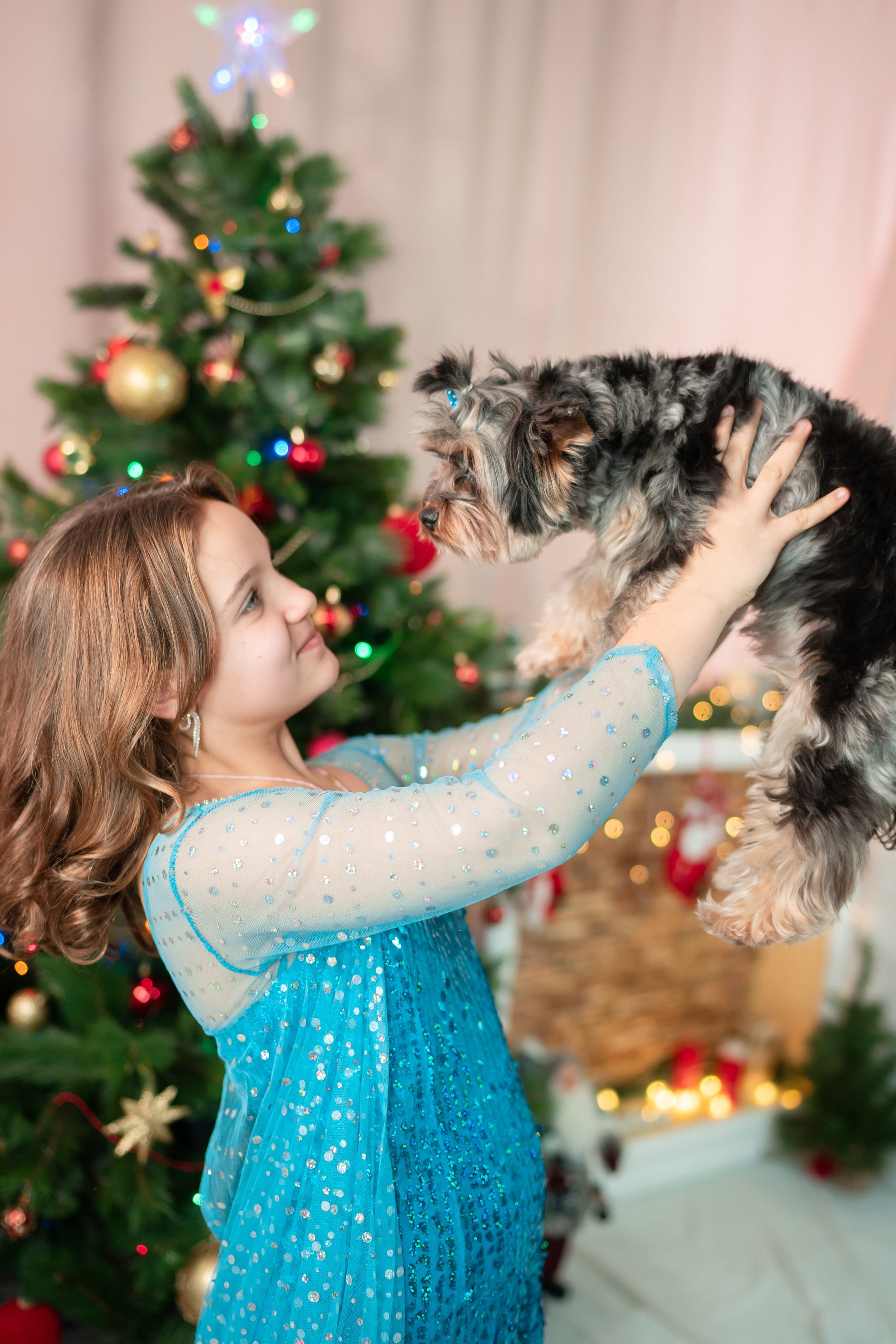 Новогодние фотосессии. Семейный фотограф в Москве Алёна Кольцова