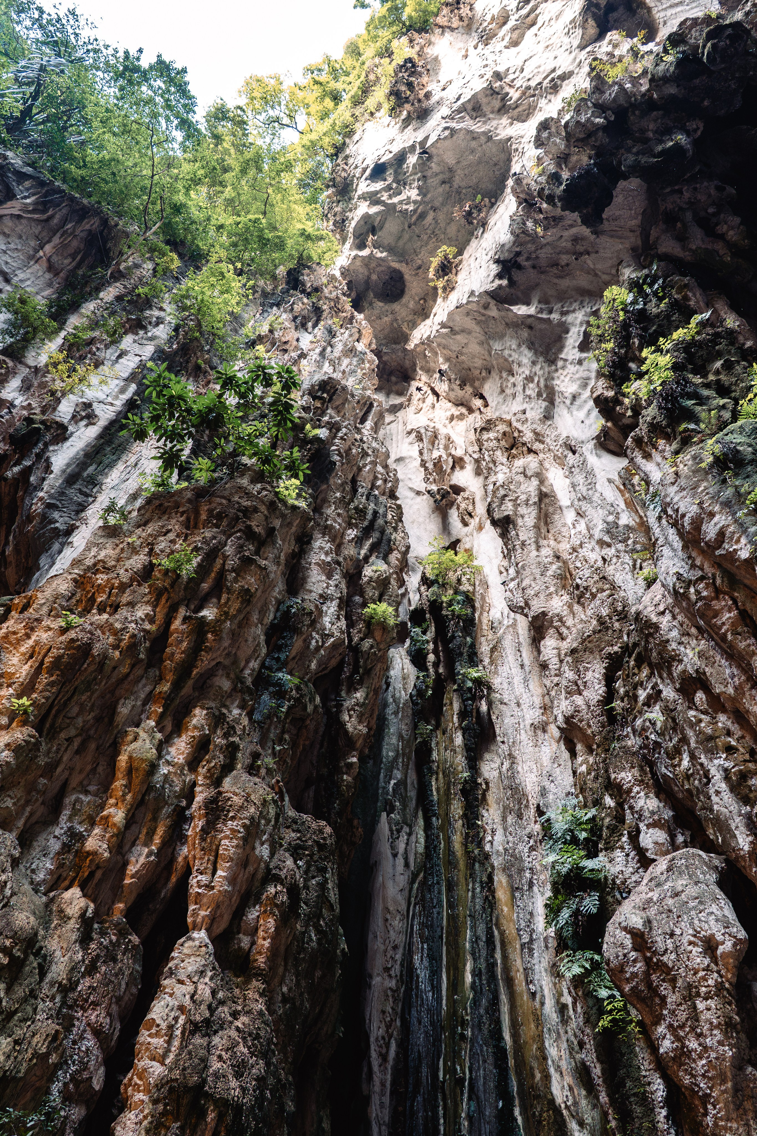 Сингапур и Малайзия. Репортажный фотограф в Москве Легкая Софья