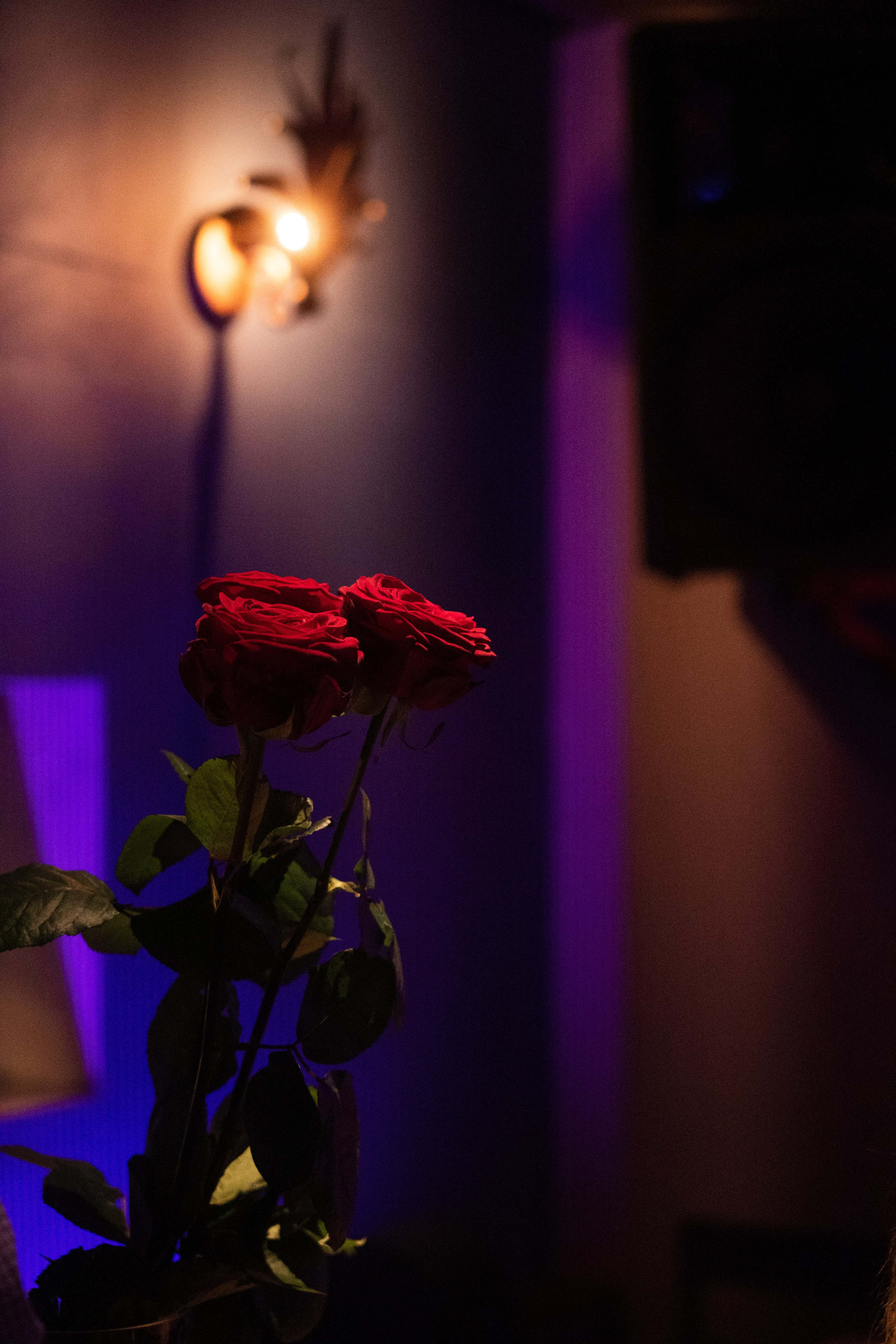 Квартер Алексея Кабакова /ДК41. Фотограф и видеограф Мария Банщикова, Солнечногорск, Москва