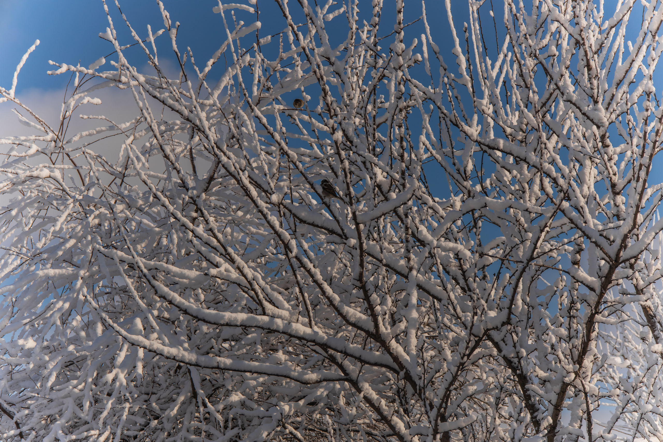 станица Тенгинская Усть-Лабинский район Краснодарский край 