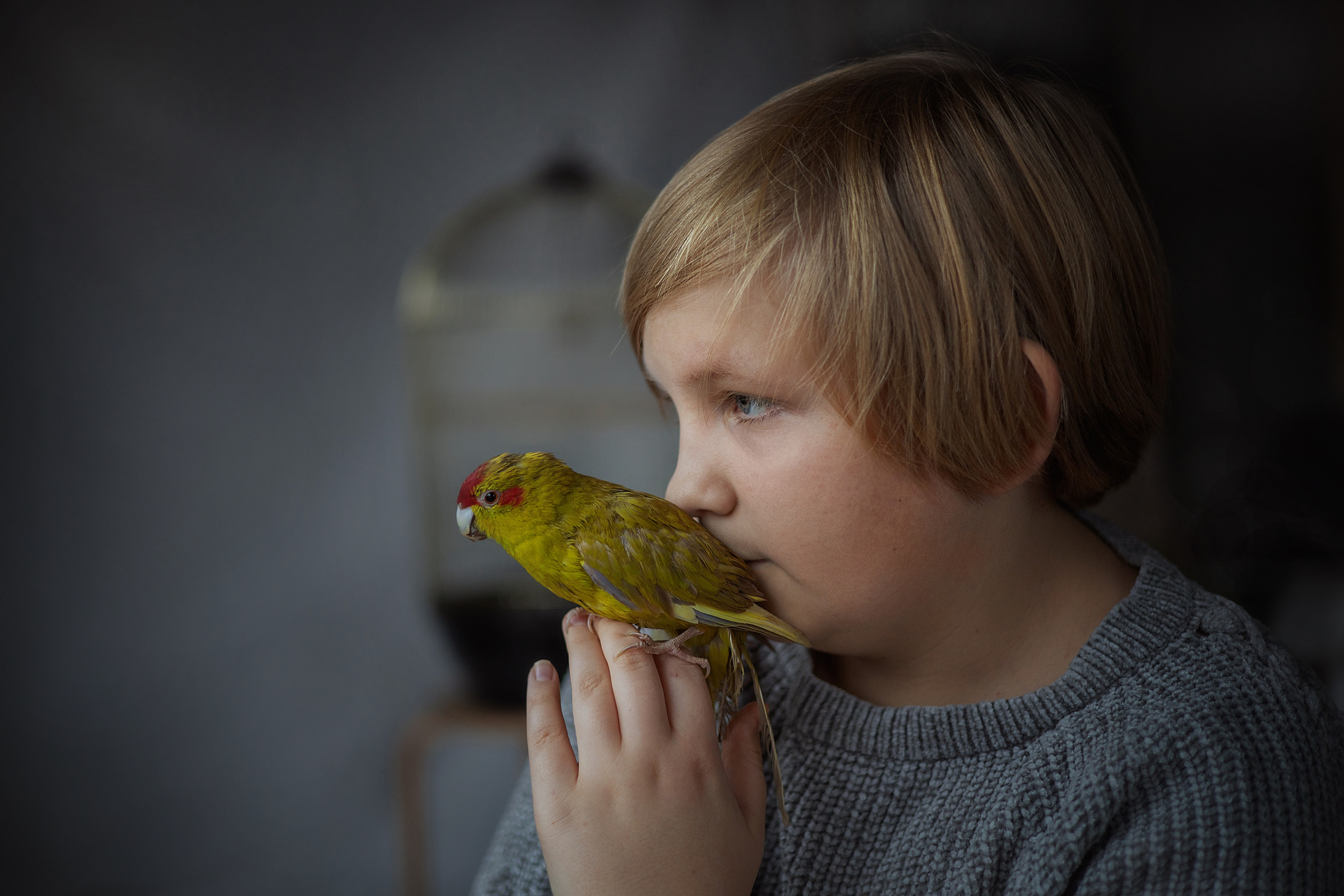 Детский портрет. Семейный детский фотограф Краснодарский край Оксана Колос