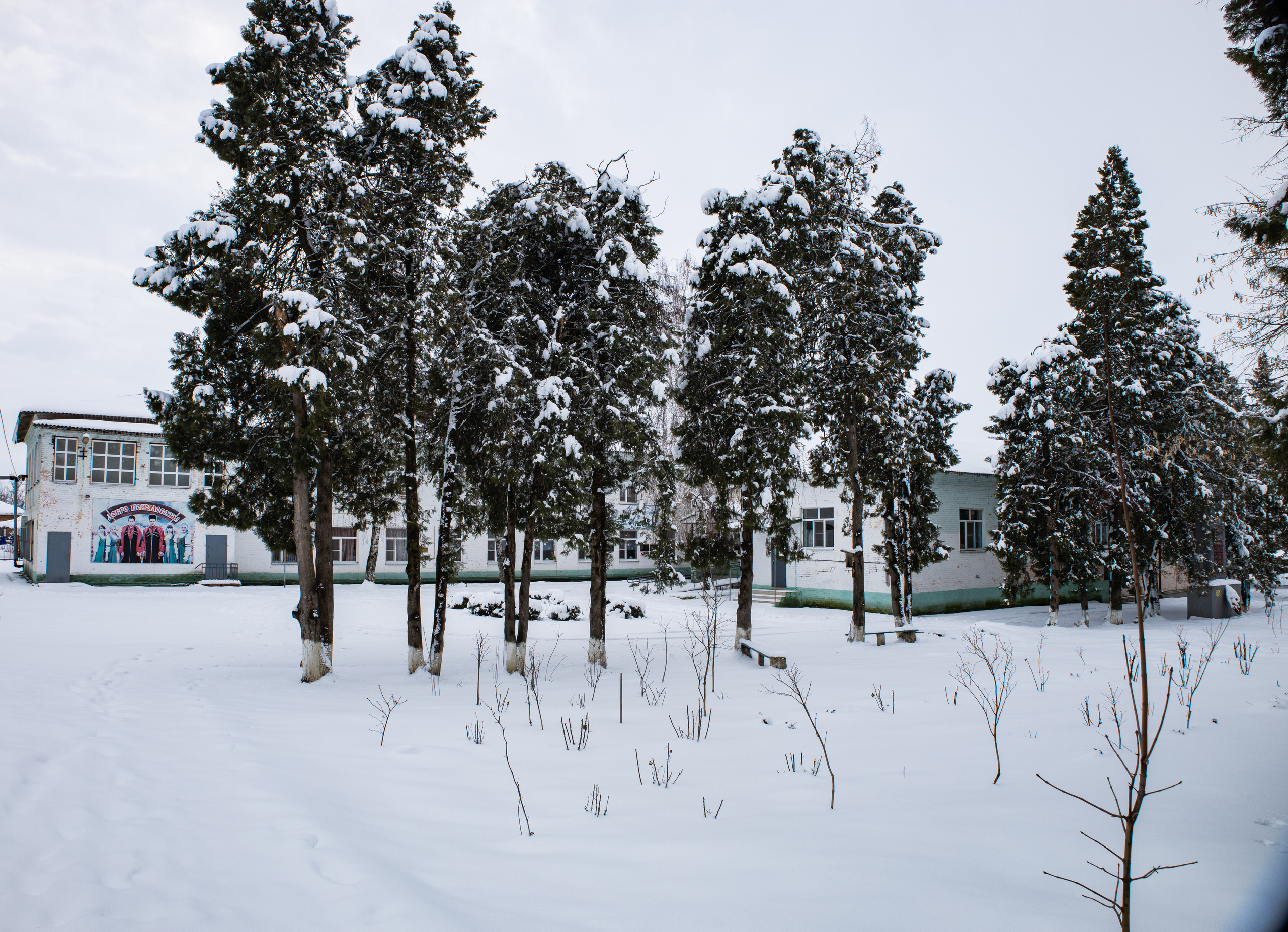 станица Тенгинская Усть-Лабинский район Краснодарский край школа