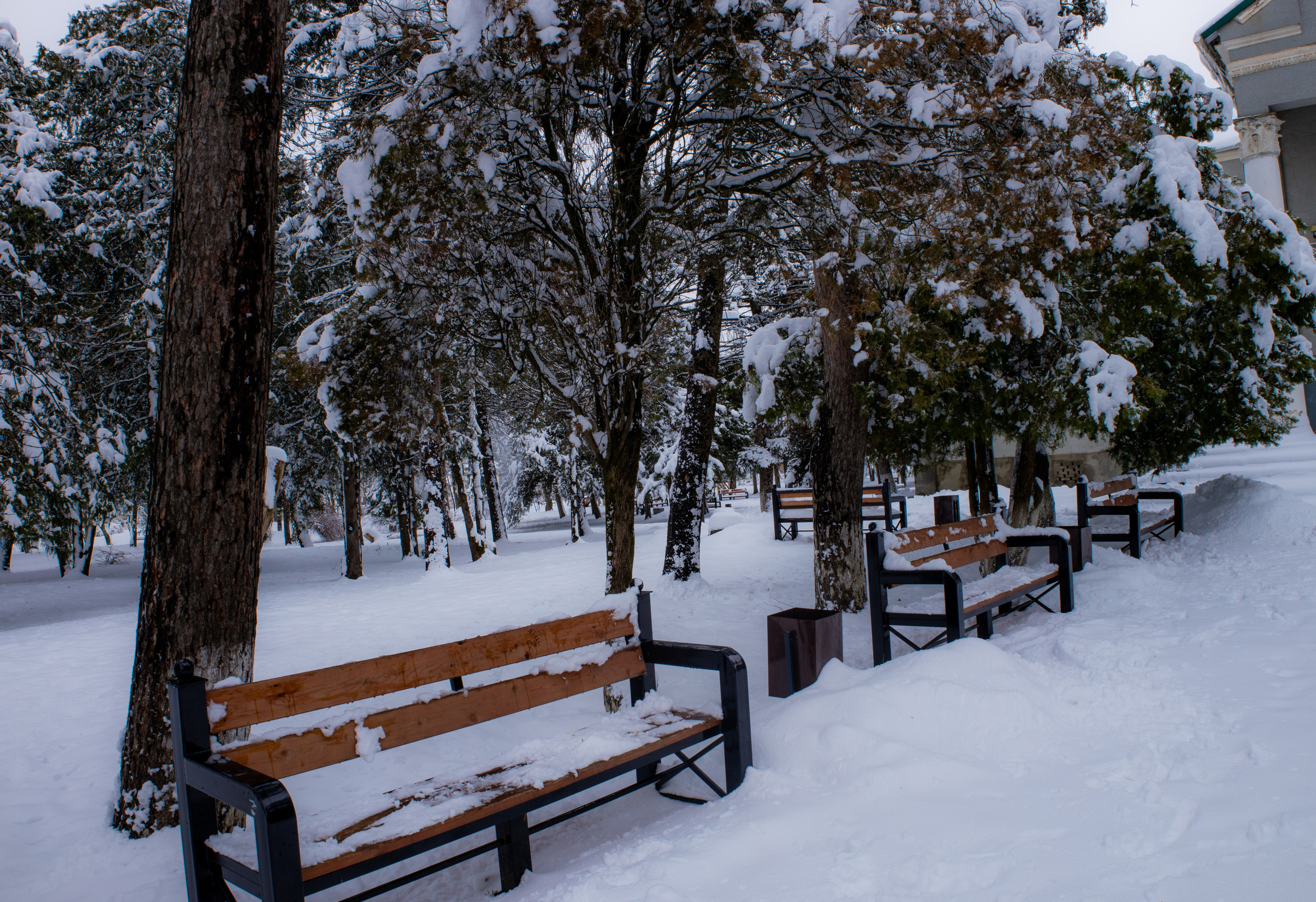 станица Тенгинская Усть-Лабинский район Краснодарский край дом культуры