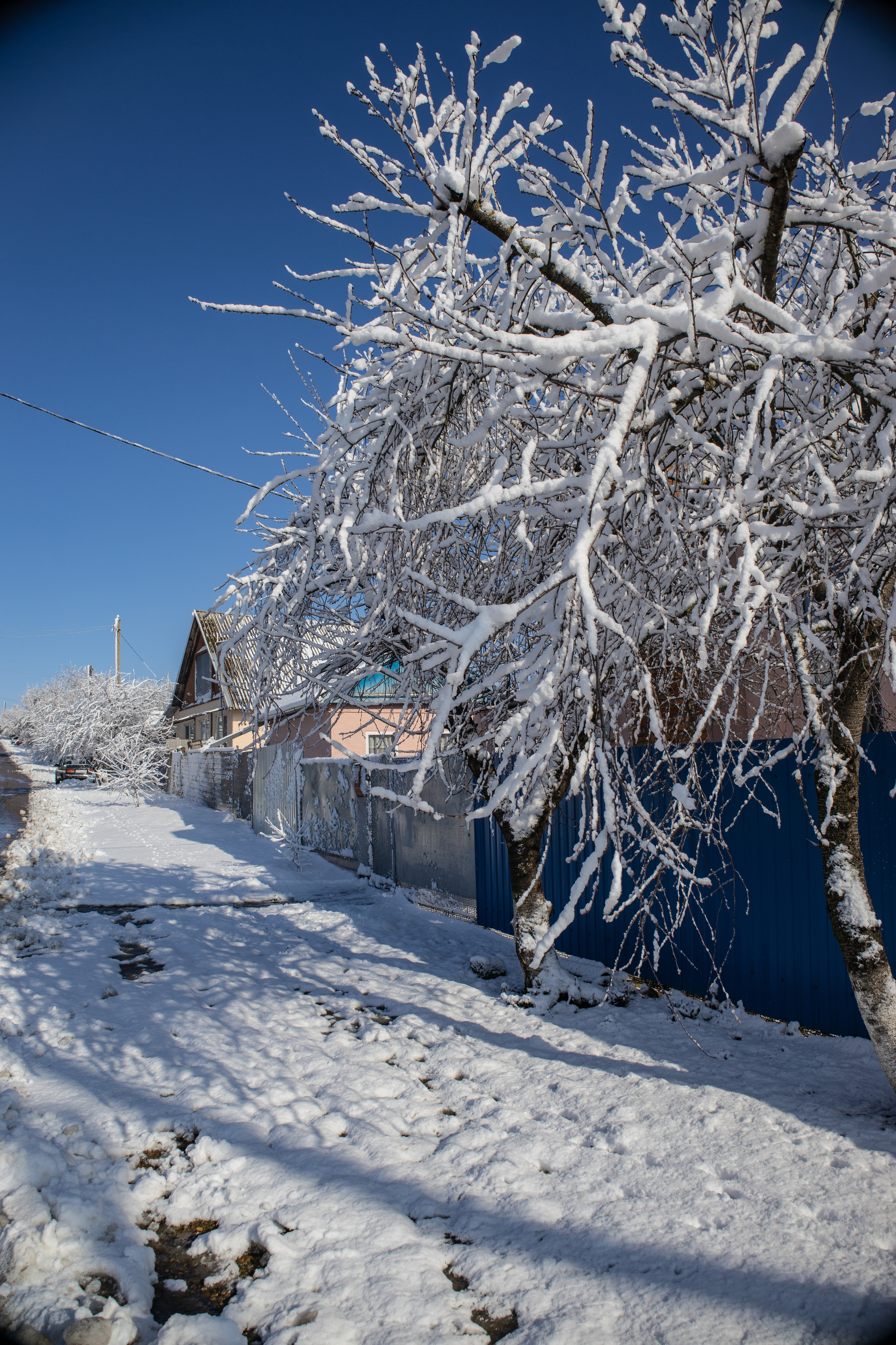 станица Тенгинская Усть-Лабинский район Краснодарский край 