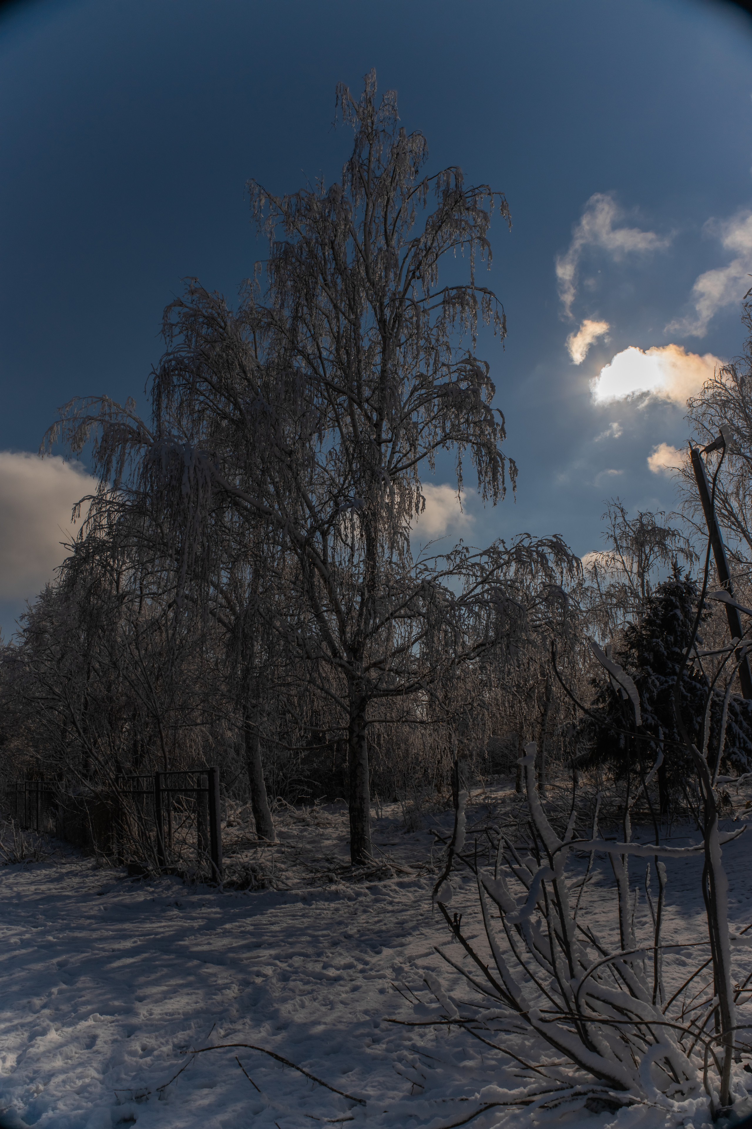 станица Тенгинская Усть-Лабинский район Краснодарский край 