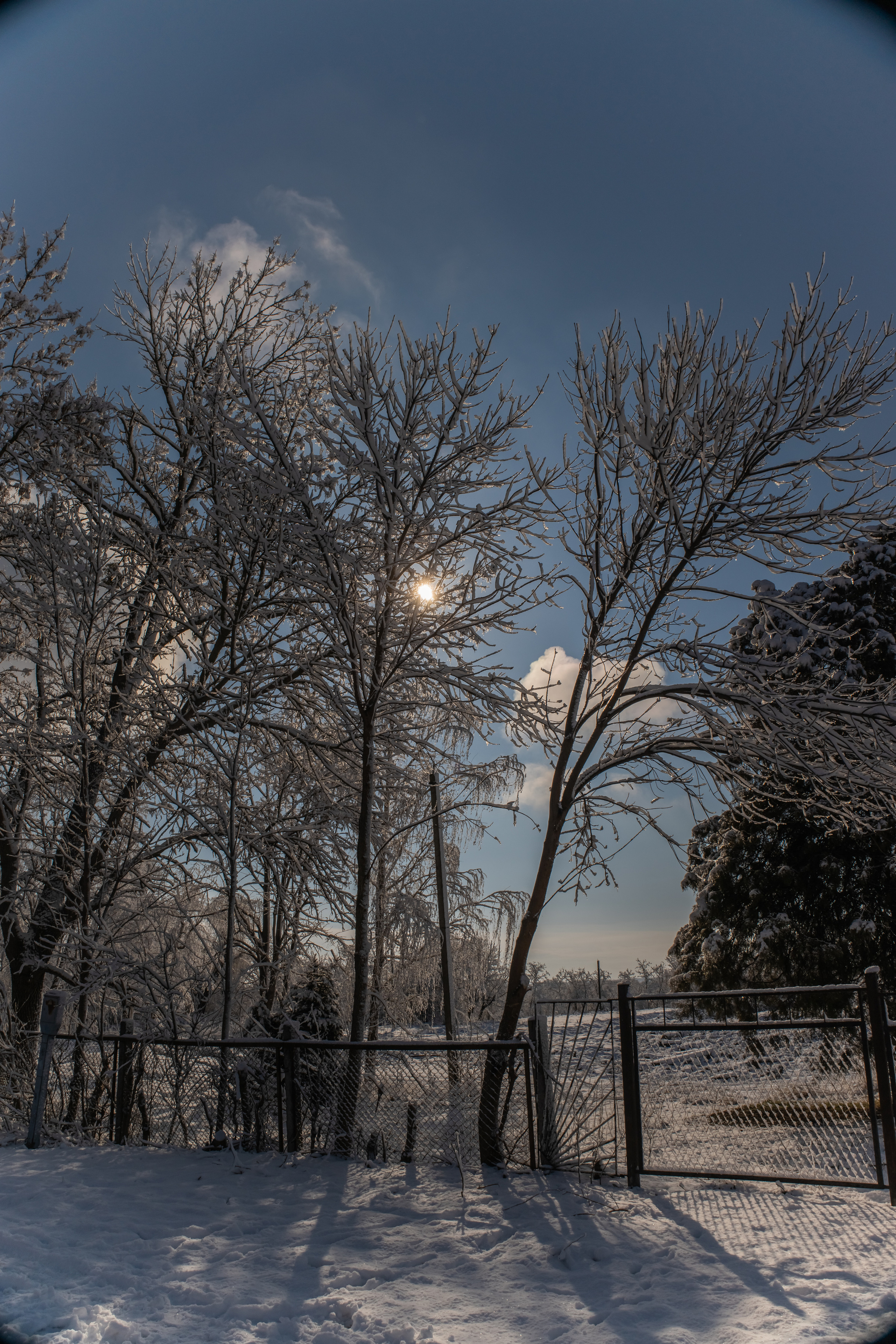 станица Тенгинская Усть-Лабинский район Краснодарский край 