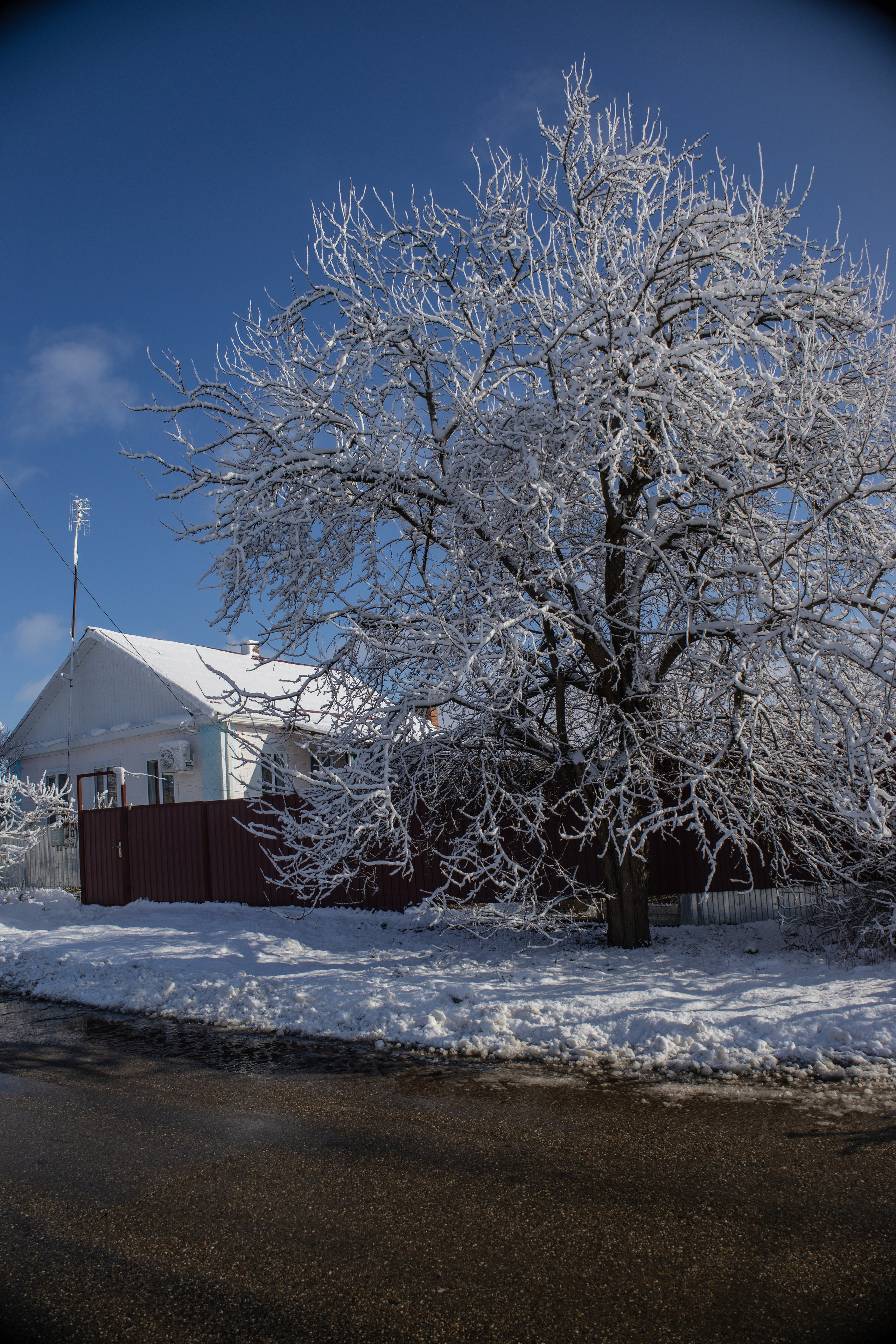 станица Тенгинская Усть-Лабинский район Краснодарский край 