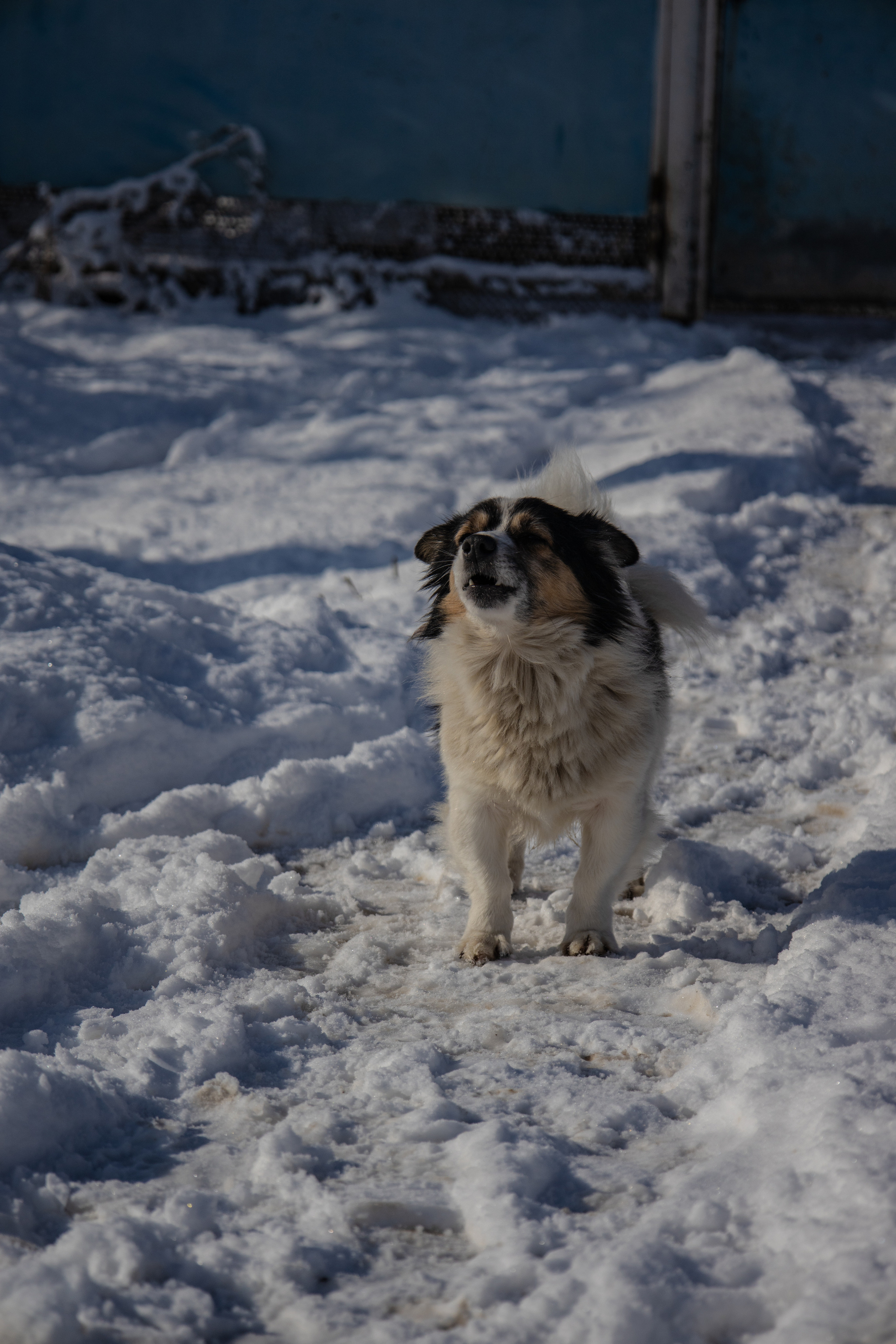 Станица Тенгинская Краснодарский край зима 2022 г. Семейный детский фотограф Краснодарский край Оксана Колос