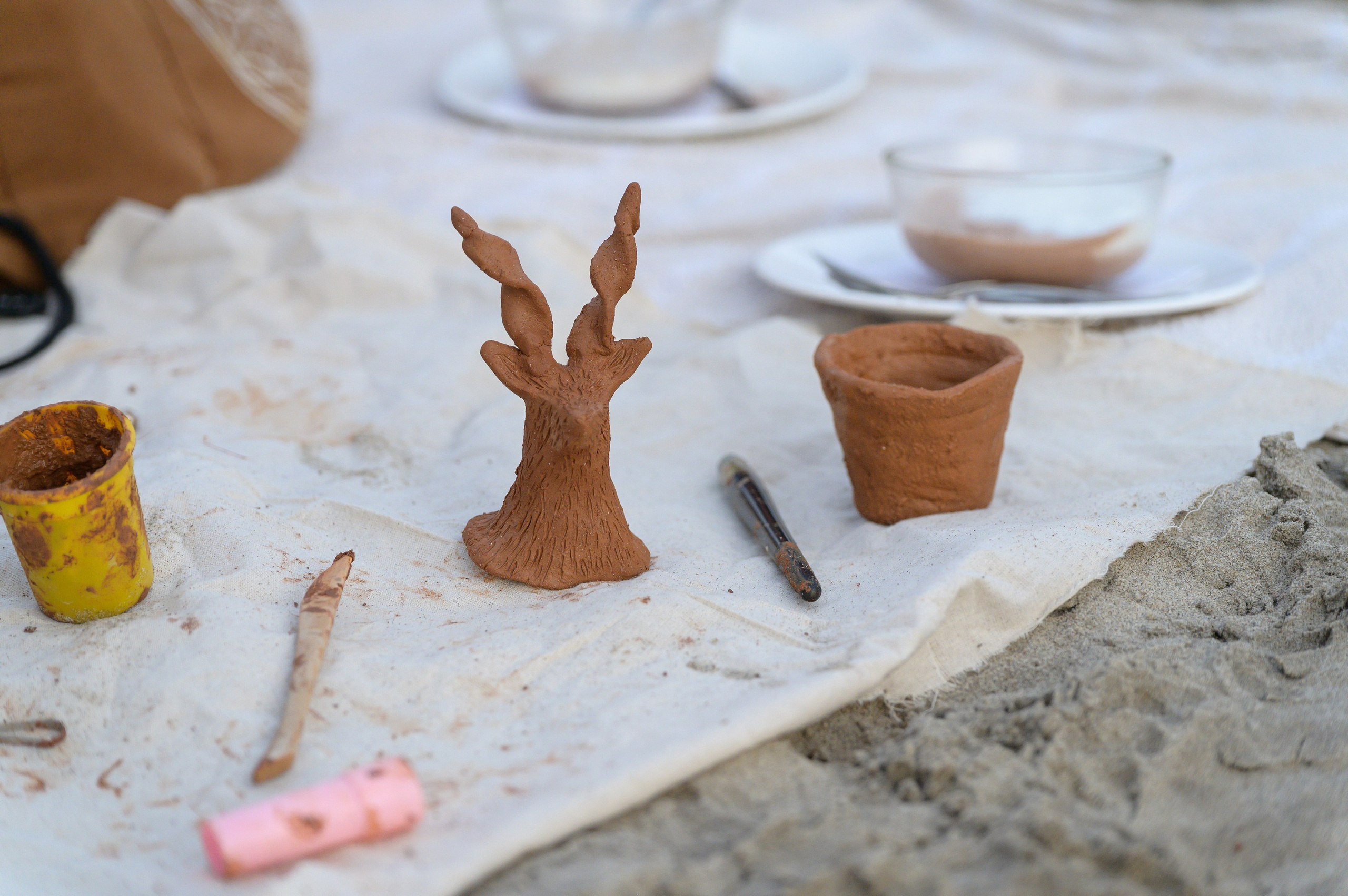 Русские женщины в Гоа