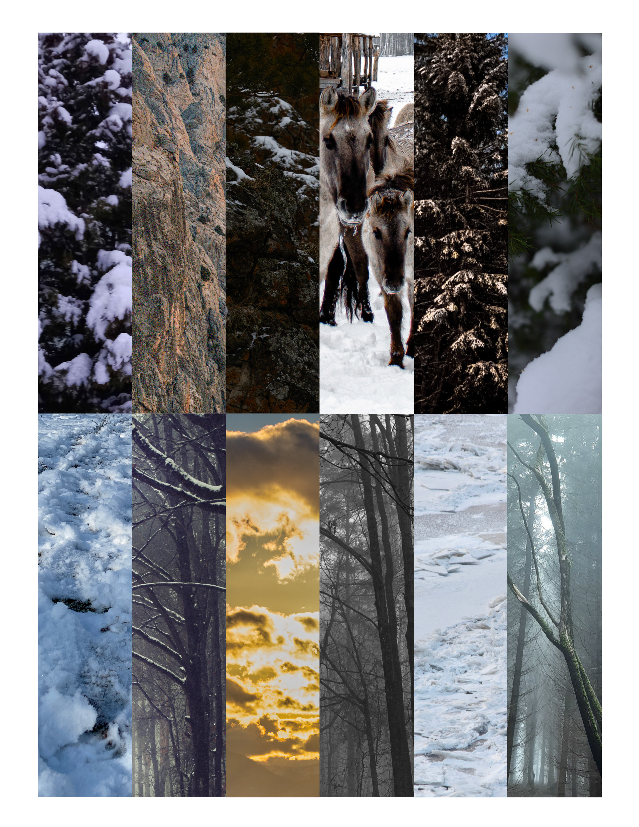 My publications in printed publications, magazines. Фотограф (photographer) Lischinski Vitaliy