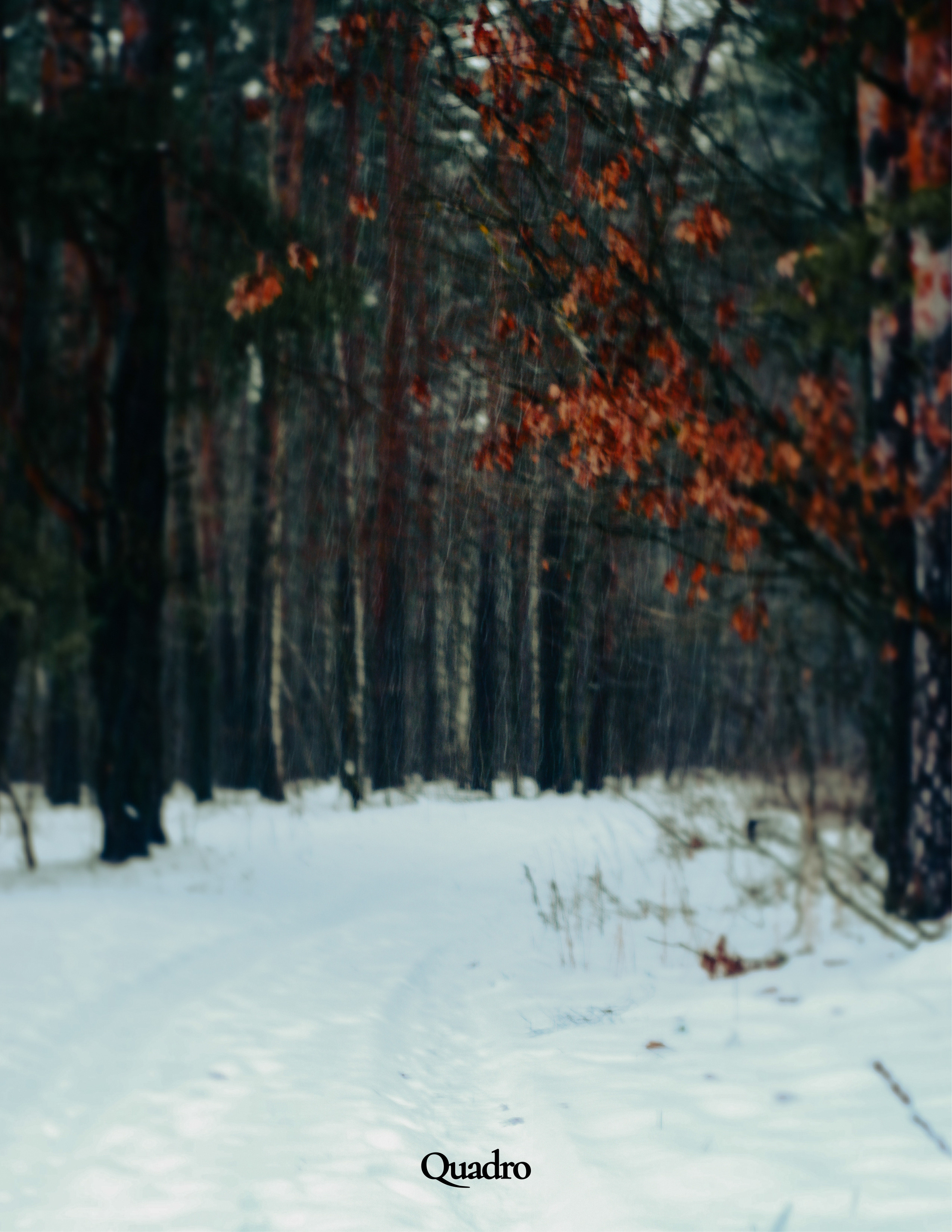 My publications in printed publications, magazines. Фотограф (photographer) Lischinski Vitaliy