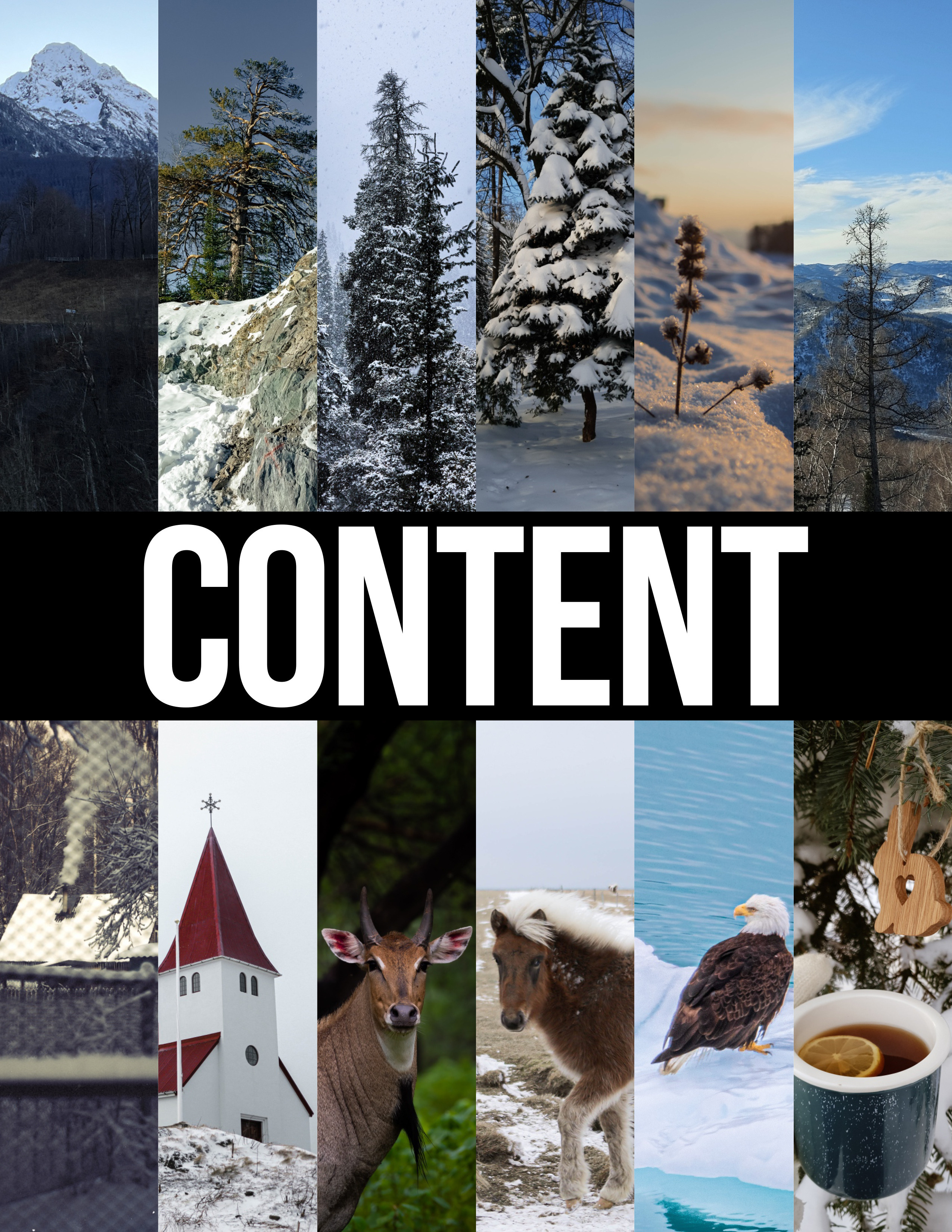 My publications in printed publications, magazines. Фотограф (photographer) Lischinski Vitaliy