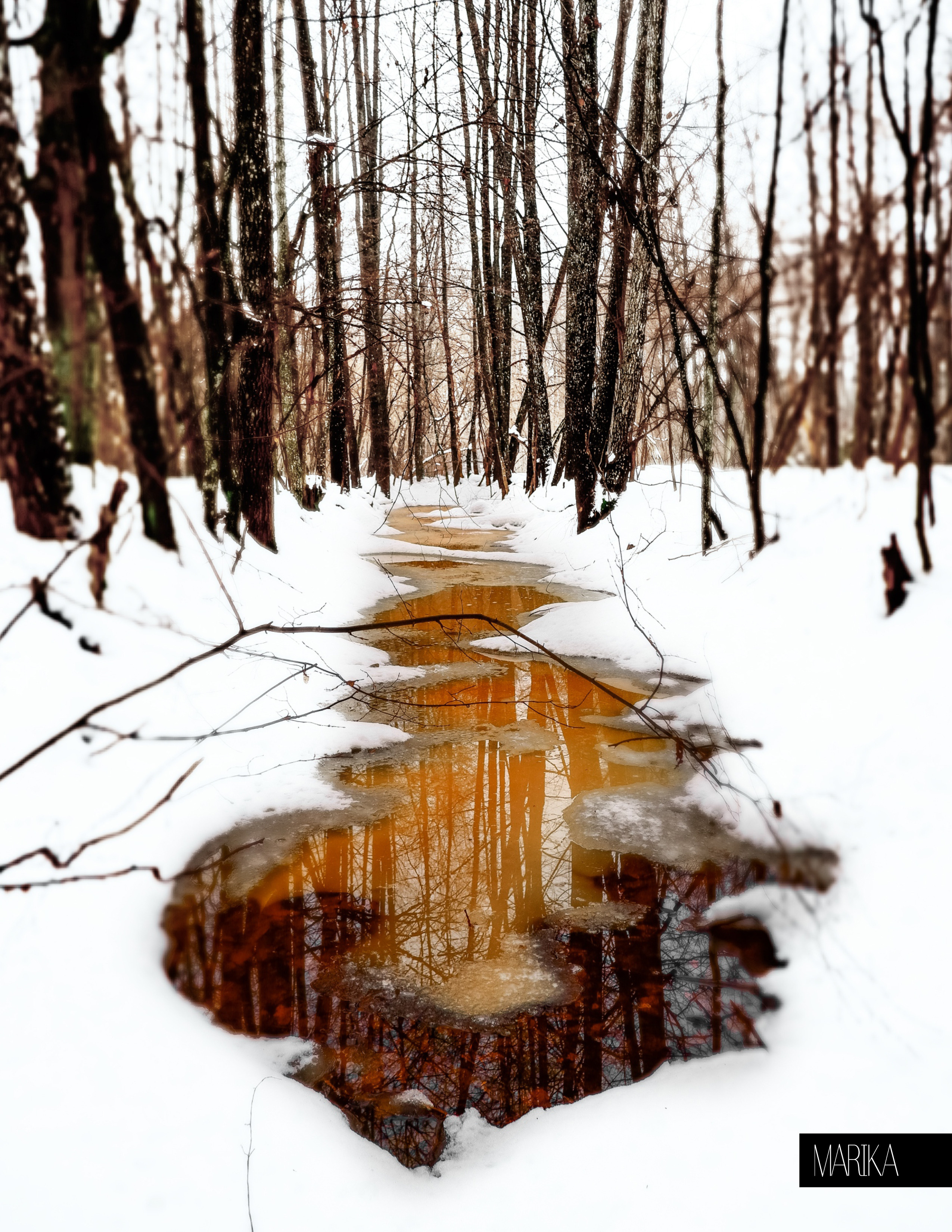 My publications in printed publications, magazines. Фотограф (photographer) Lischinski Vitaliy