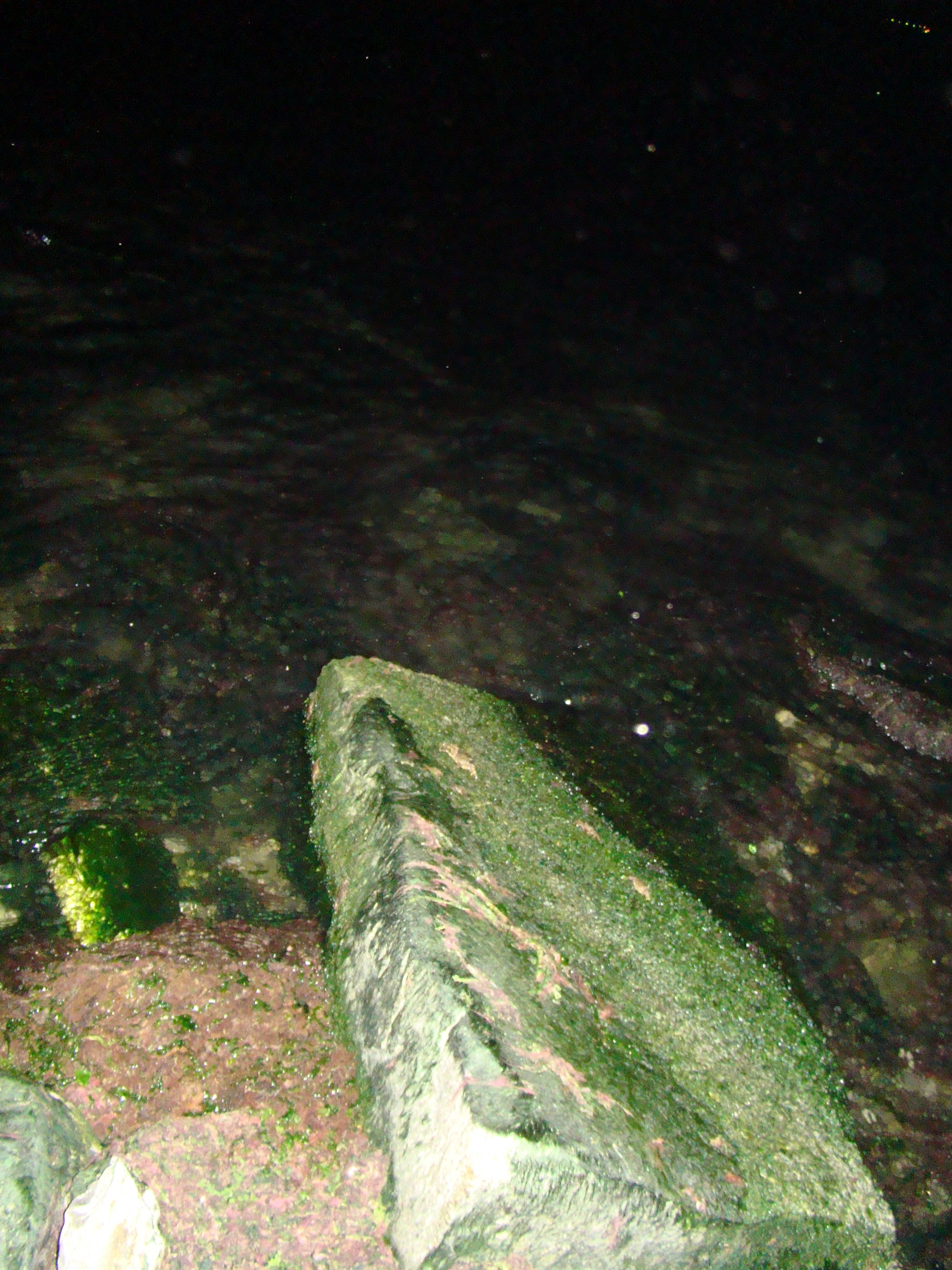 Кабардинка (фото Зевиных) 25.06-24.07.2008. Семейный, Свадебный фотограф СПБ Питер— Романова Екатерина