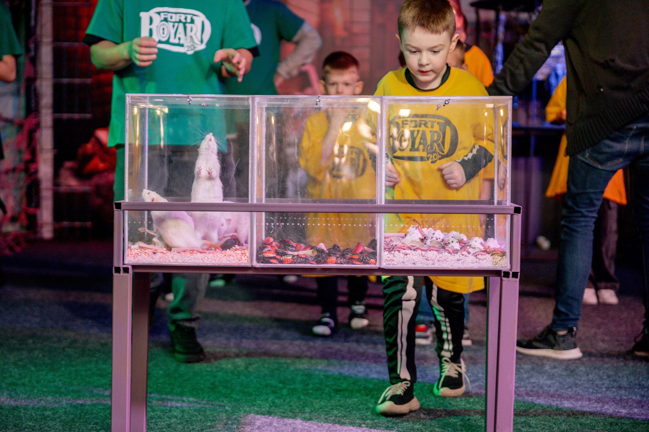 «Форд-боярд». Свадебный, семейный и репортажный фотограф. Брянск. Эльвира Голенкова