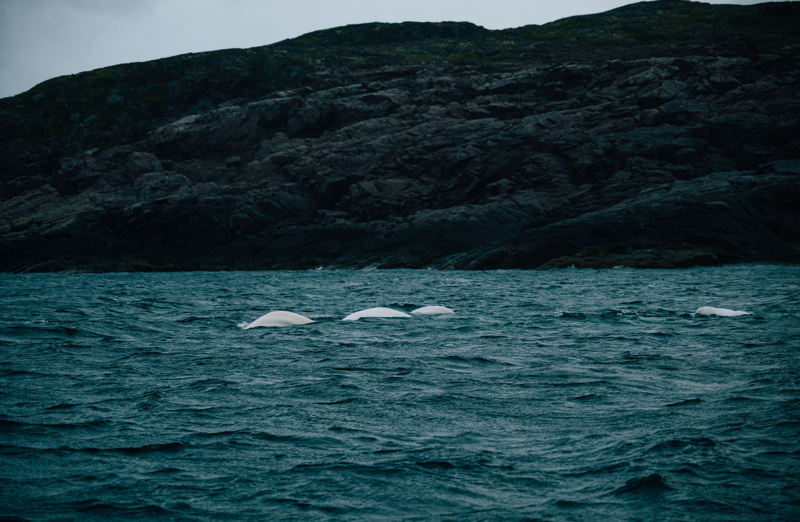 ТЕРИБЕРКА. Создание контента | Фото | Видеосъемка | Александр Ярков