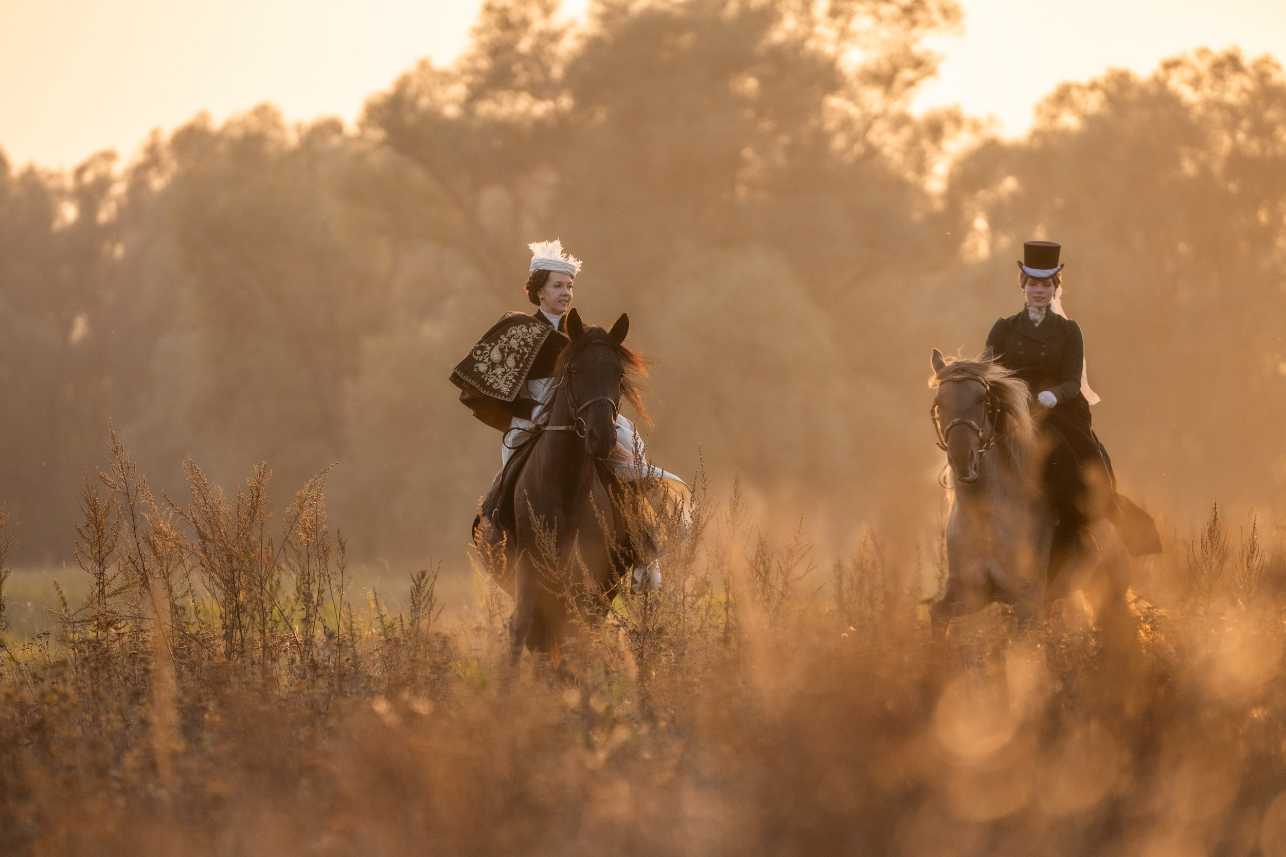 Отзывы. Фотограф-анималист Юлия Удовенко