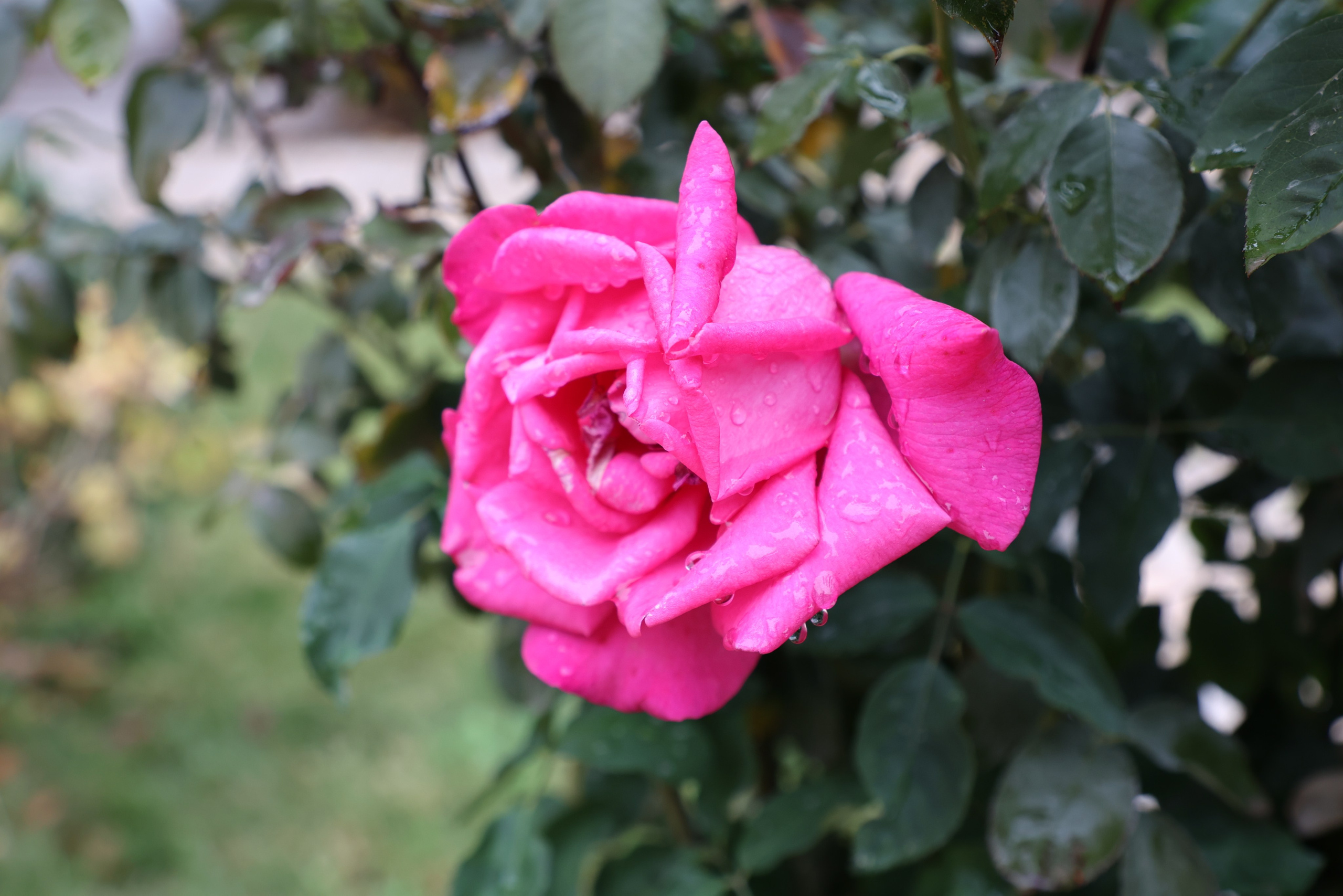 Samarkand, Uzbekistan. Andrey Filippov Photographer