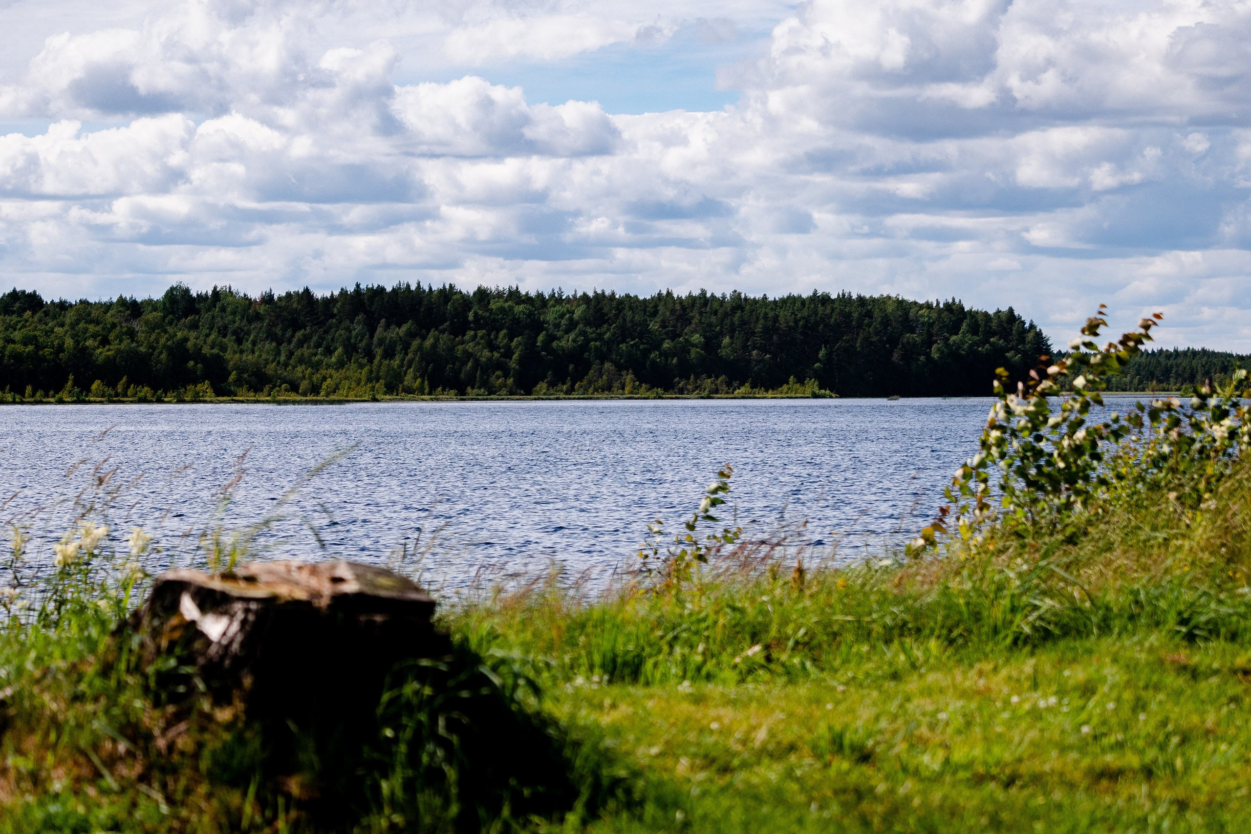 Глэмпинг LampiCamp (Карелия). Павел Шарапов | Фотограф | Москва