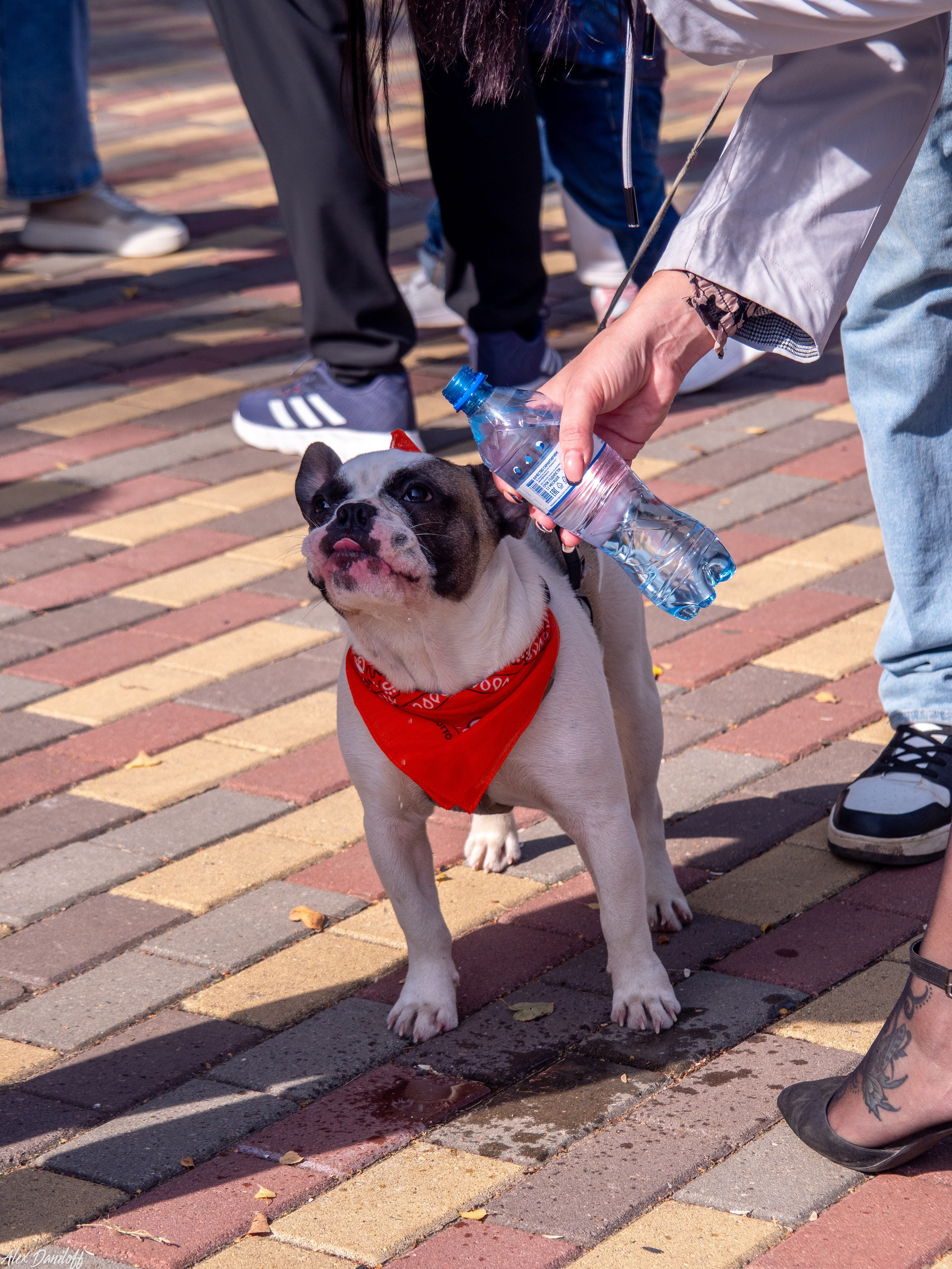 Обнимака 2025. Муром-Инфо. Новости культуры, образования, спорта в городе Муром