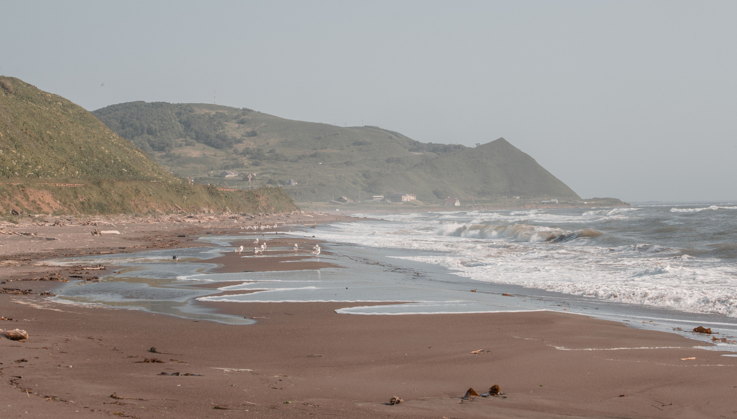 Вика и Дима. Фотограф Виктория Куприянова