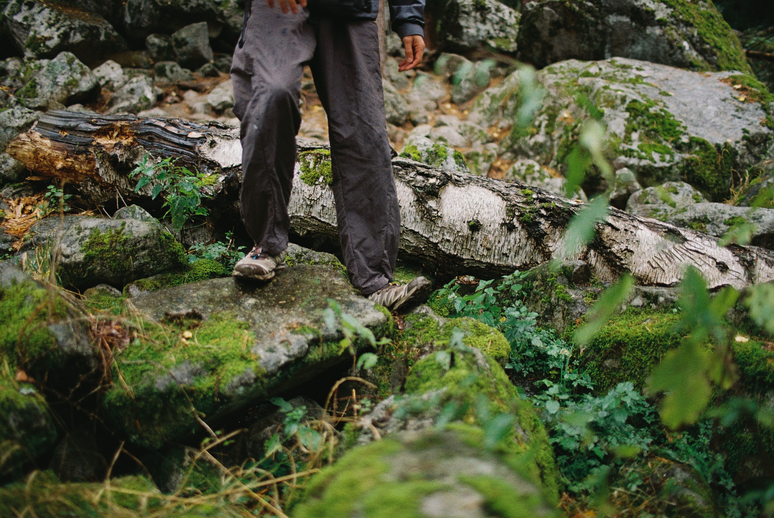 Пленка. Фотограф Ирина Гринько Тольятти Самара Москва