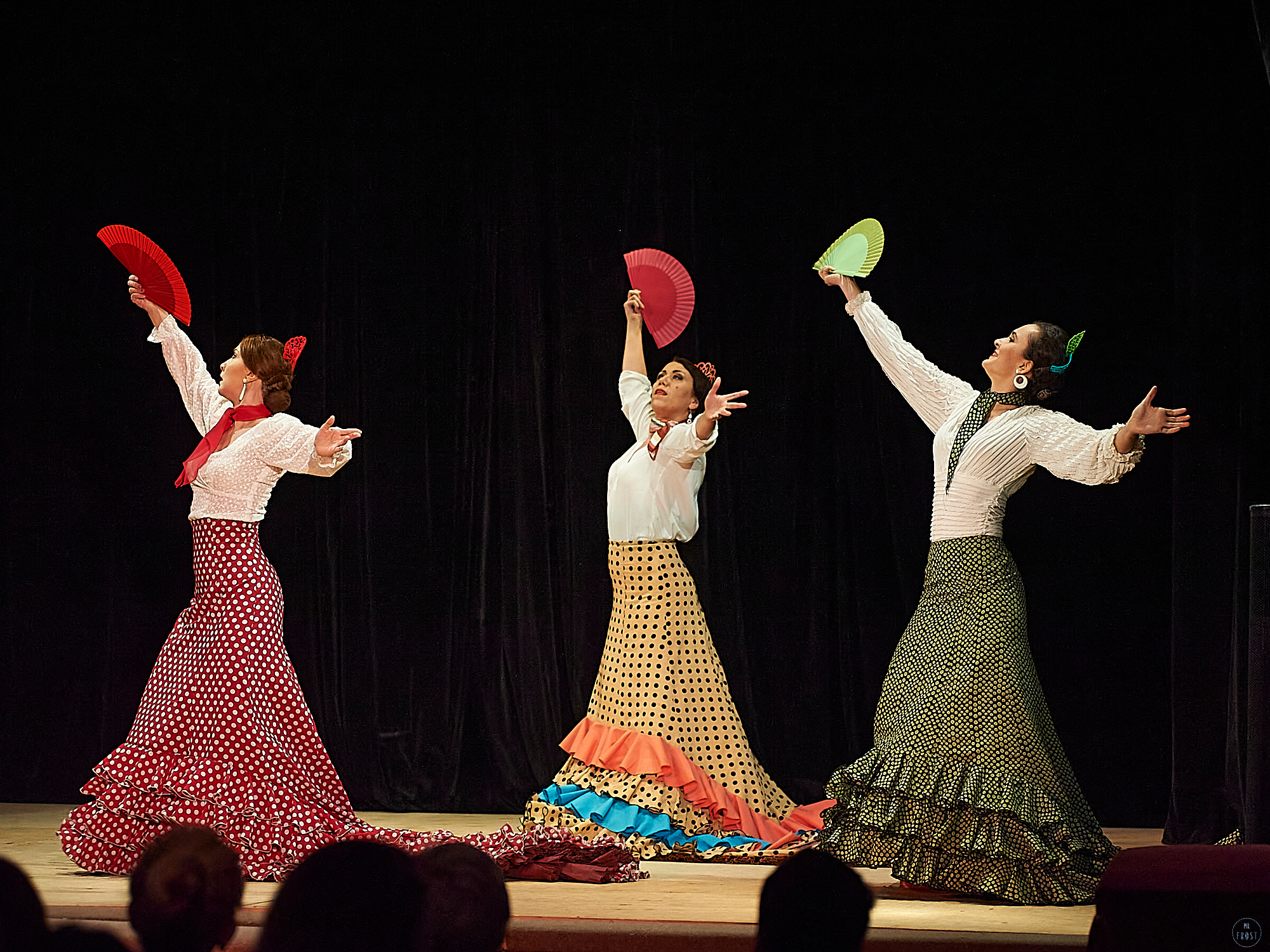 Спектакль фламенко ДИНАМИКА. Фотографии отовсюду и обо всем