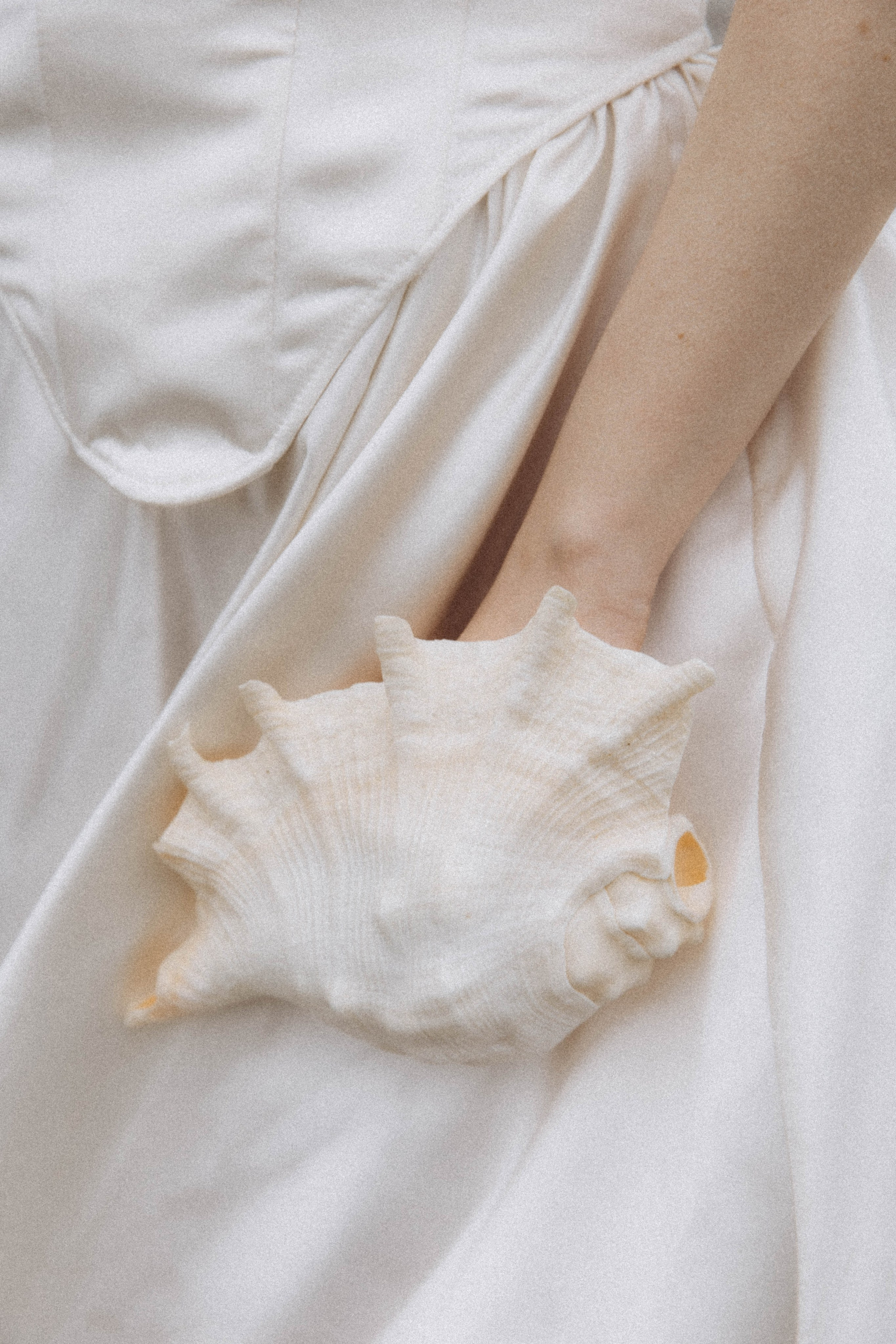 Александр и Полина. Свадебное агентство Amorewed Agency