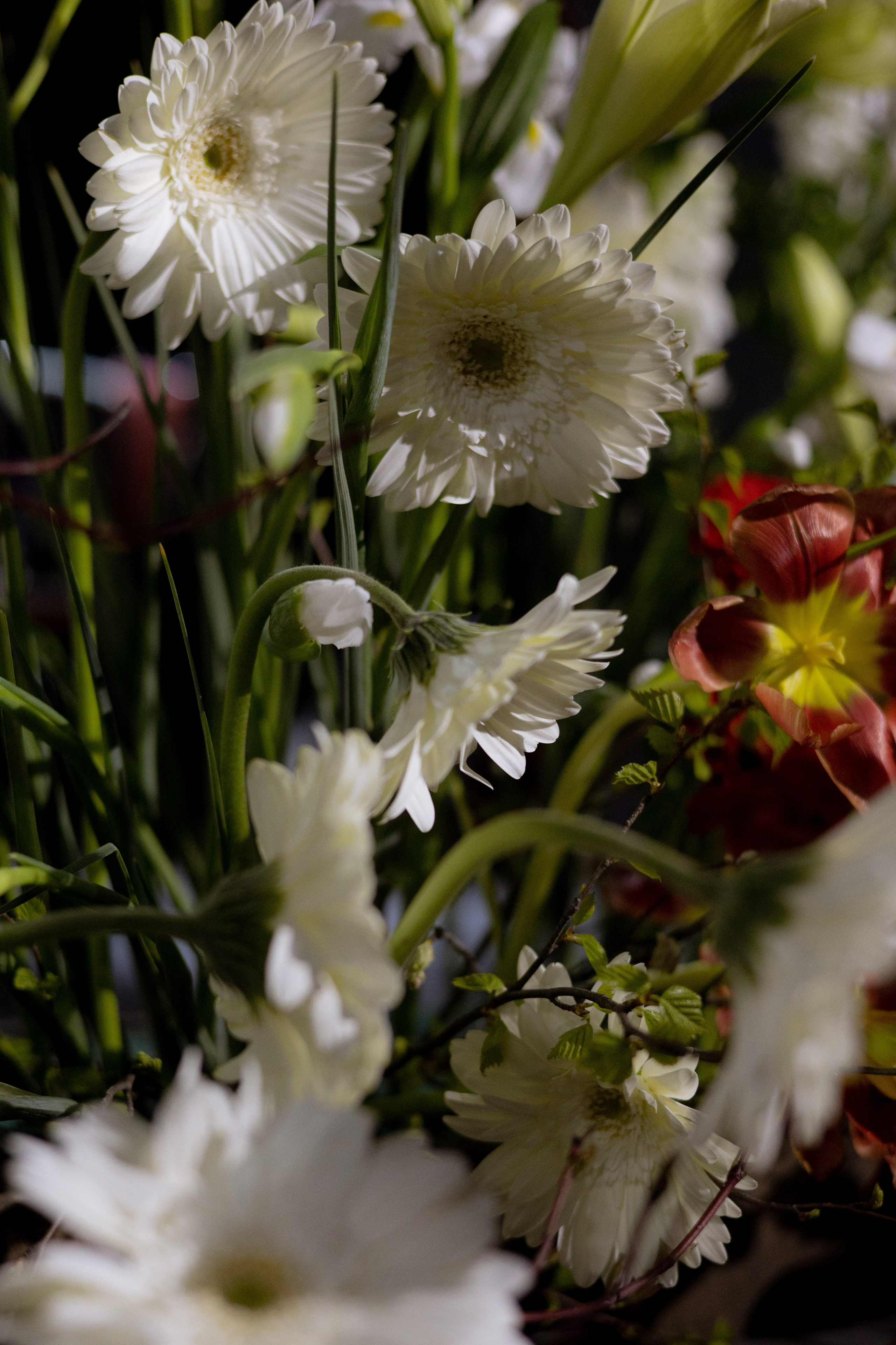 Оформление Отчетного концерта Музыкальной школы Глазунова. Оформление свадеб, декор свадеб Вера Маркова, Москва