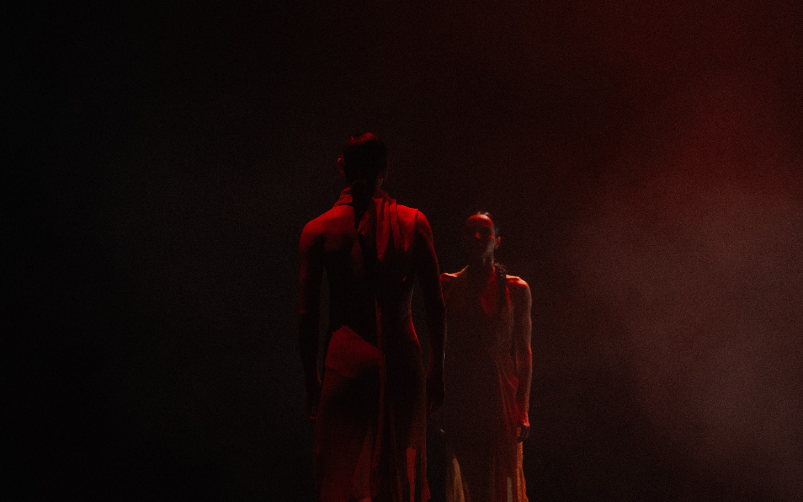 Прима балерины Мариинского театра Диана Викторовна Вишнёва и Дарья Владимировна Павленко в спектакле Дуо хореографа Павла Глухова проект фестиваля Context