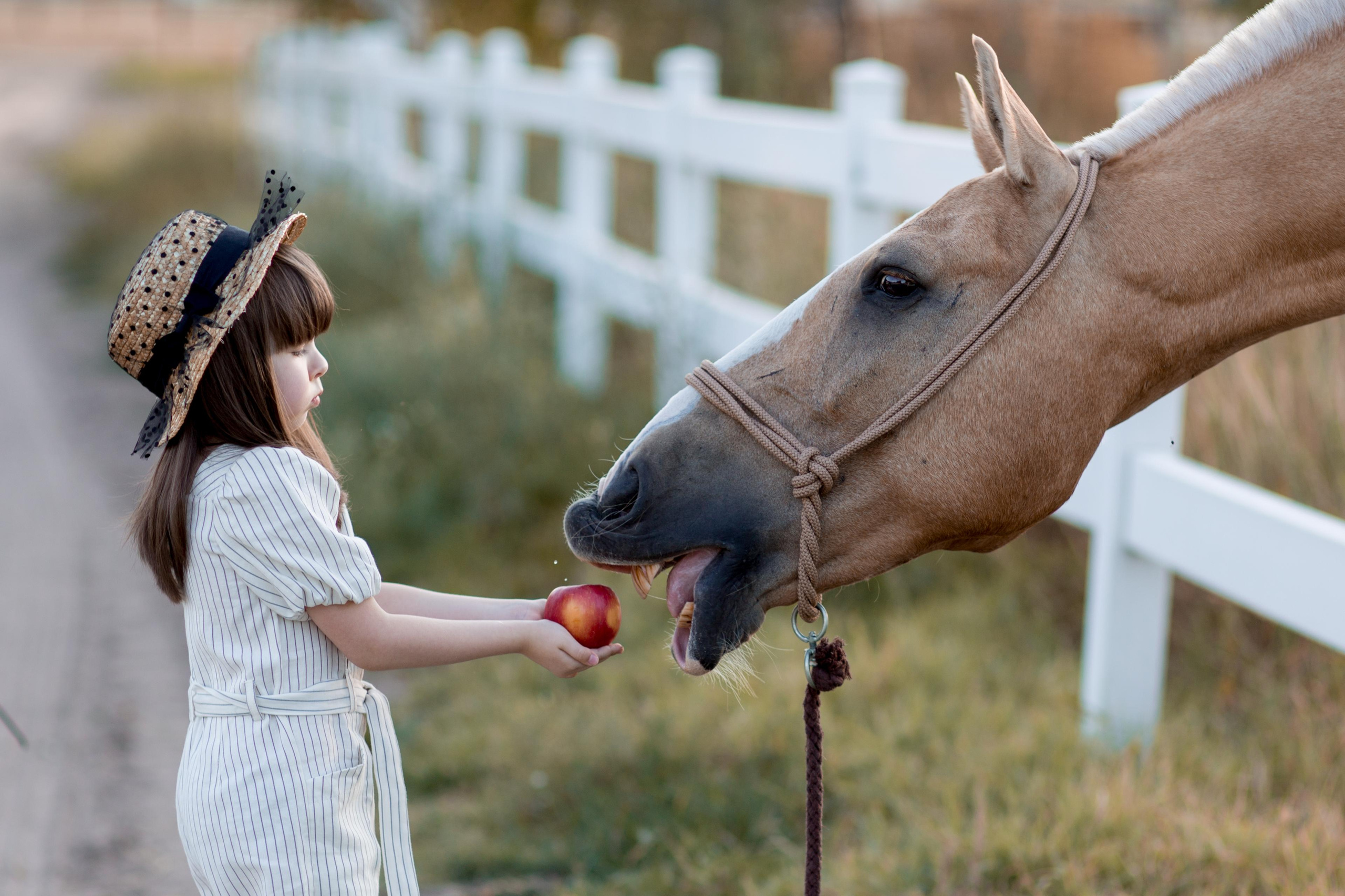Фотограф в Алматы